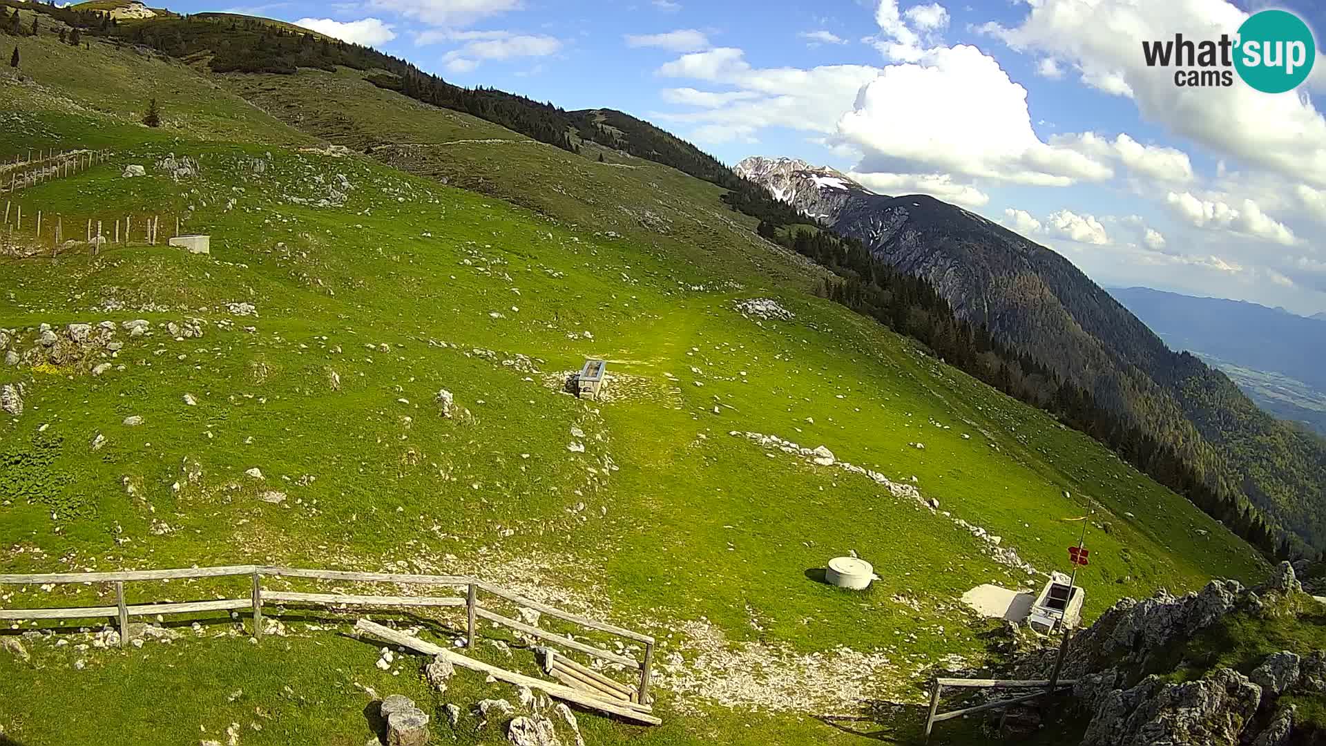 Struška nad Jesenicami Livecam planina Svečica (Belška planina) – Karavanke – Slowenien
