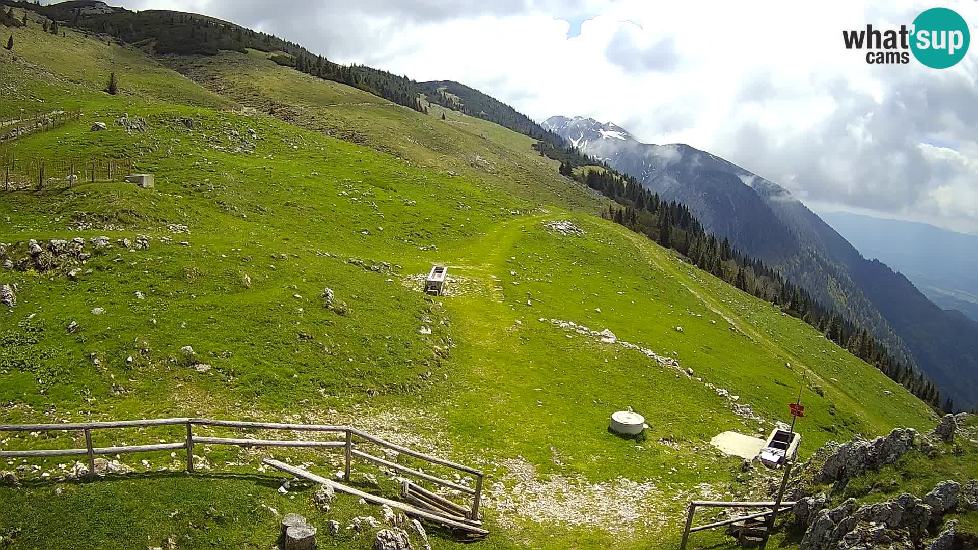 Struška nad Jesenicami web kamera planina Svečica (Belška planina) – Karavanke – Slovenija