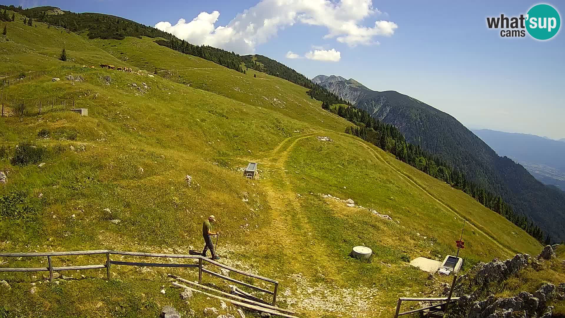 Struška nad Jesenicami spletna kamera planina Svečica (Belška planina) – Karavanke