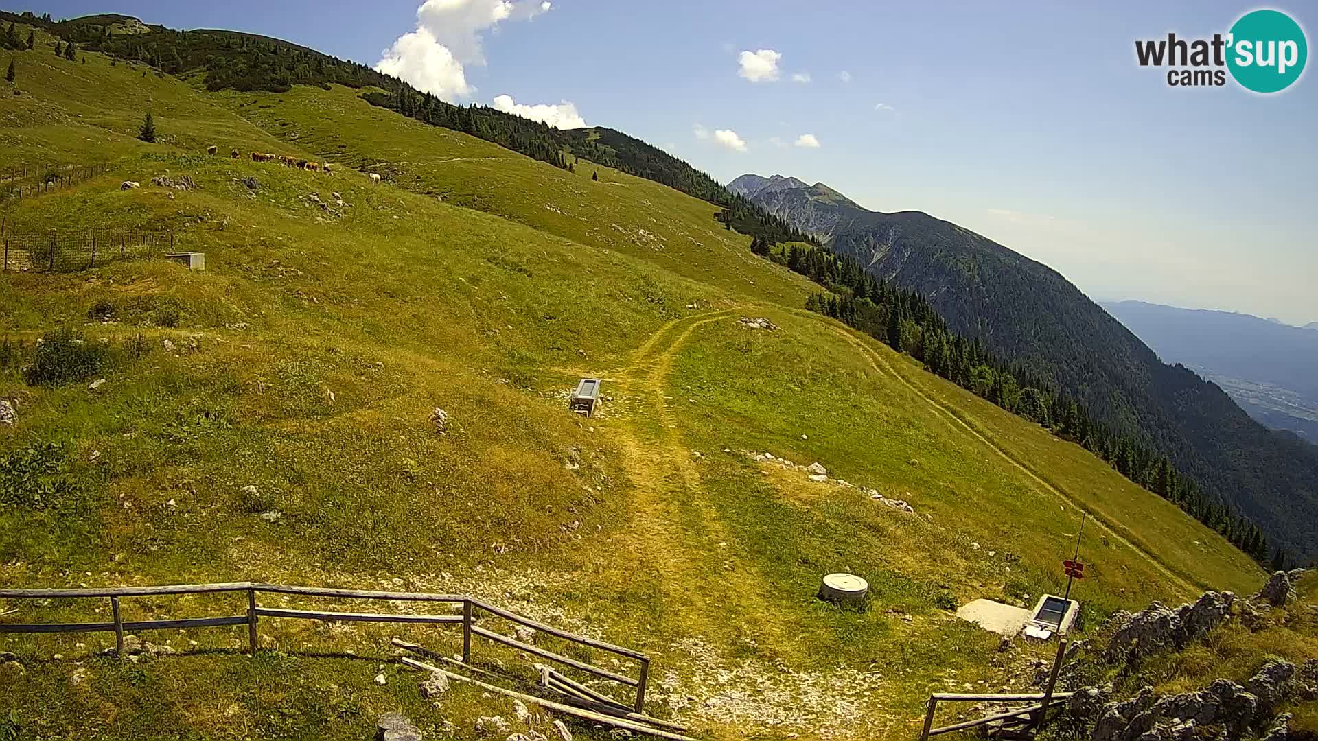 Struška nad Jesenicami camera en vivo planina Svečica (Belška planina) – Karavanke – Eslovenia