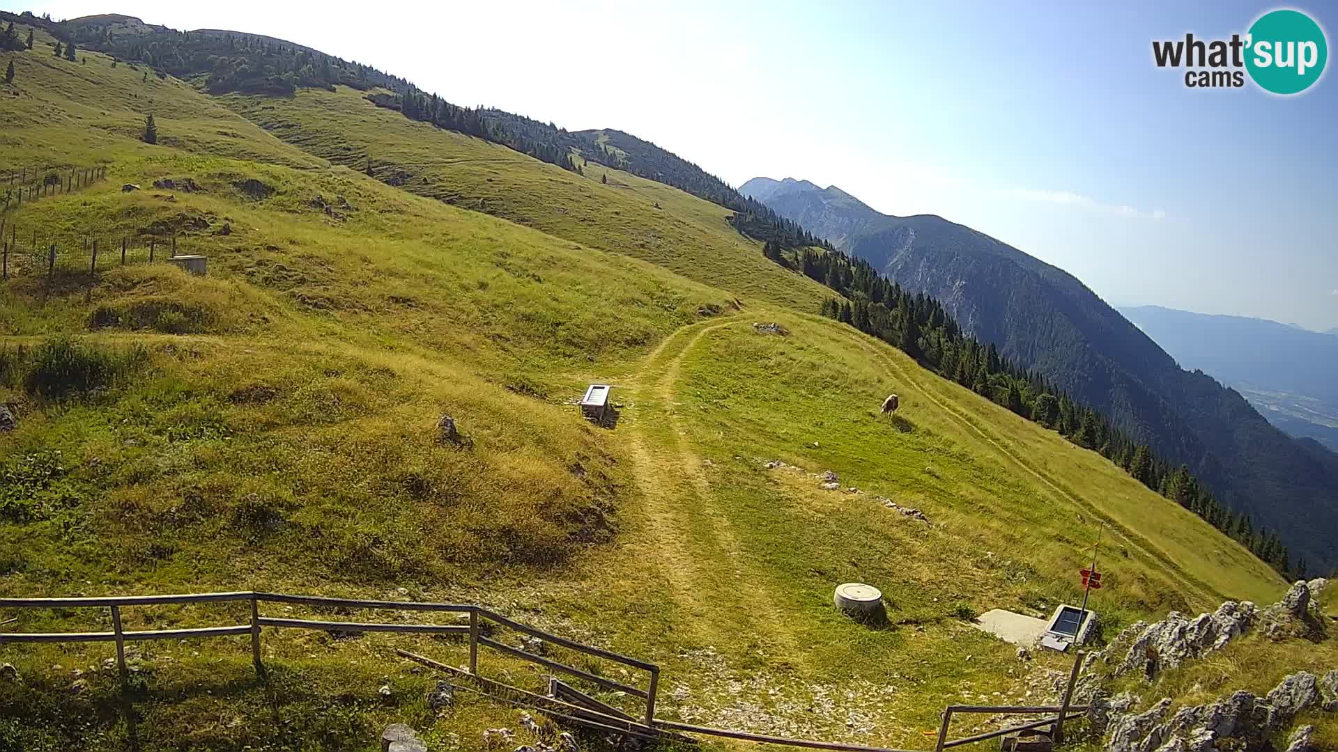 Struška nad Jesenicami spletna kamera planina Svečica (Belška planina) – Karavanke