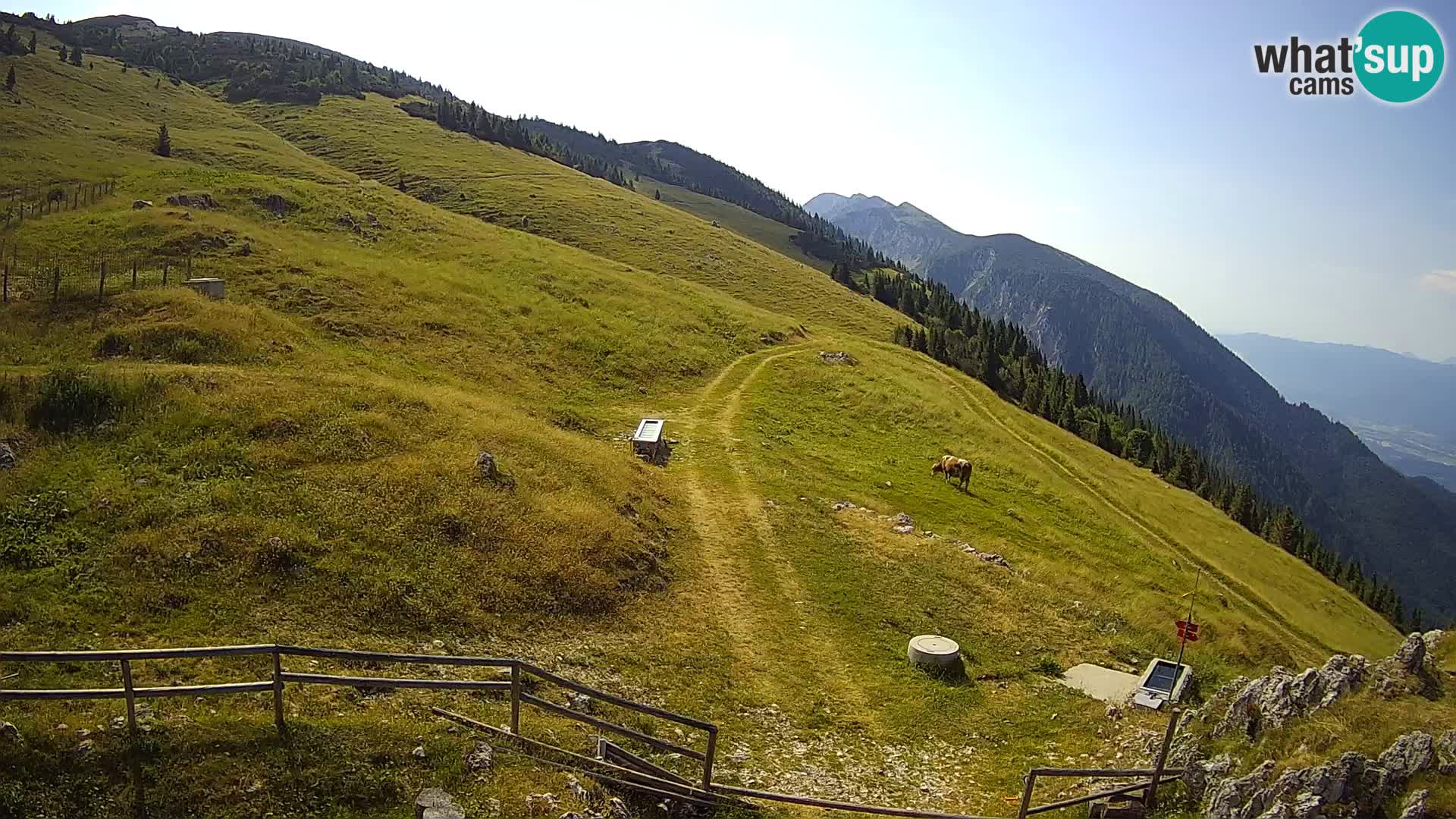 Struška nad Jesenicami camera en vivo planina Svečica (Belška planina) – Karavanke – Eslovenia