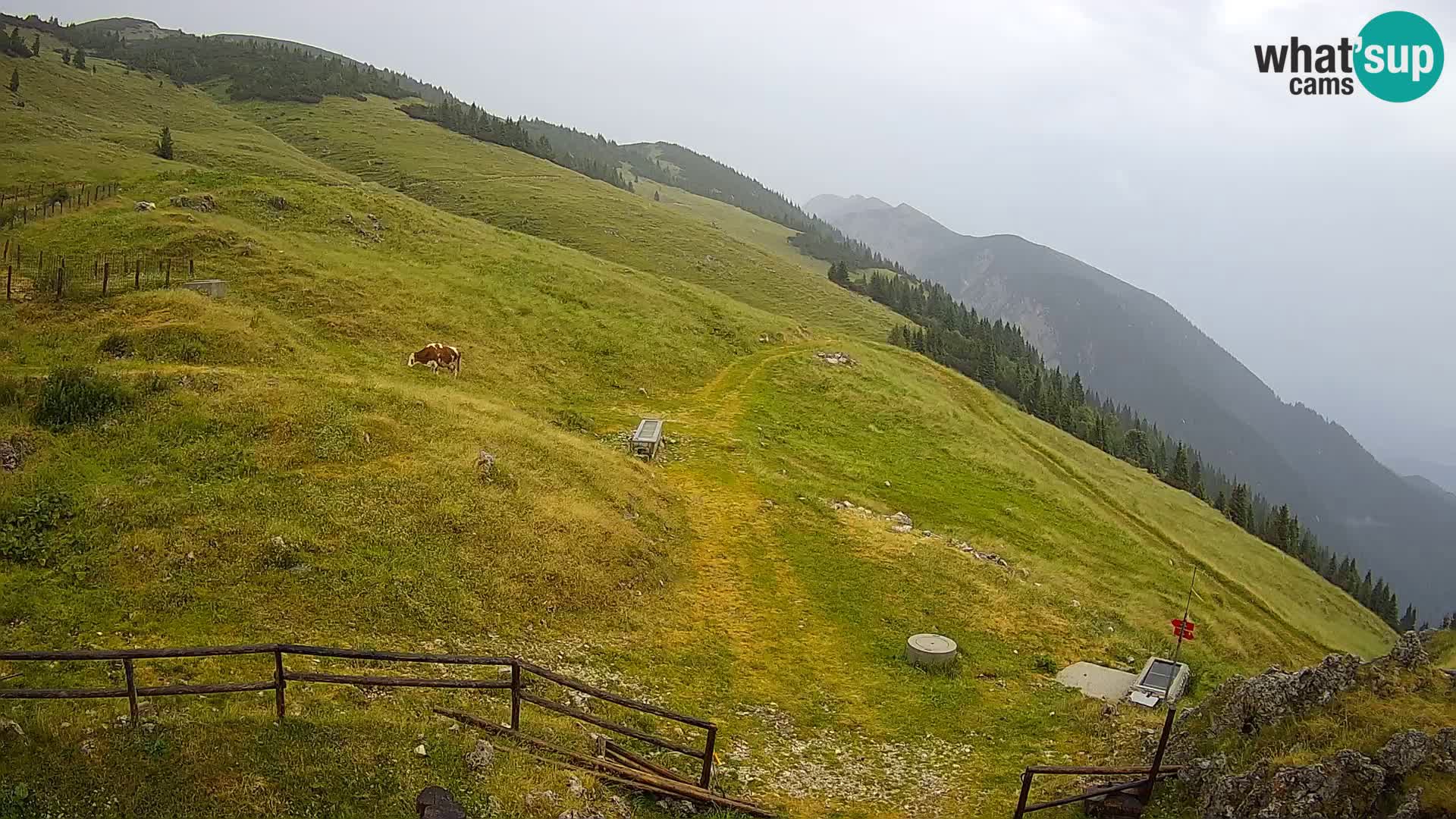 Struška nad Jesenicami spletna kamera planina Svečica (Belška planina) – Karavanke