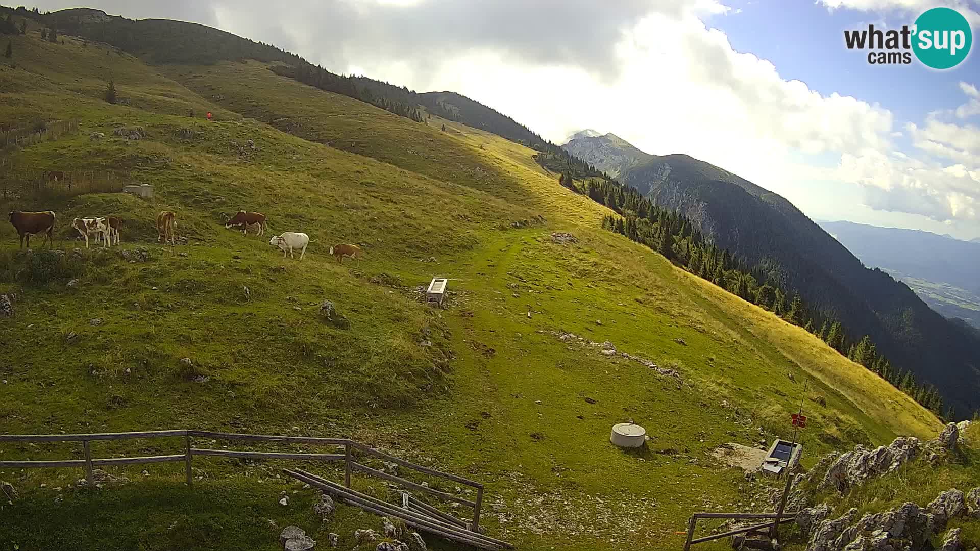 Struška nad Jesenicami Livecam planina Svečica (Belška planina) – Karavanke – Slowenien
