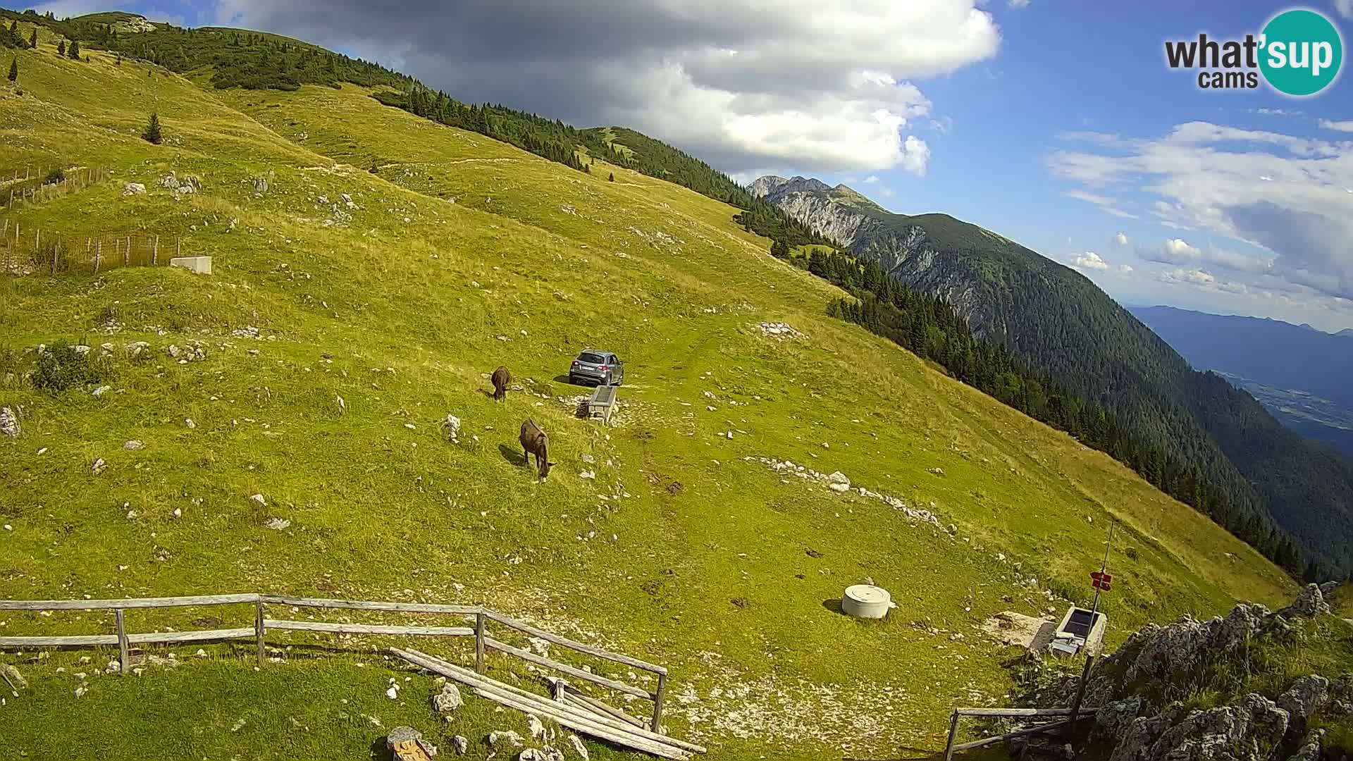 Struška nad Jesenicami Live webcam planina Svečica (Belška planina) – Karavanke – Slovenia