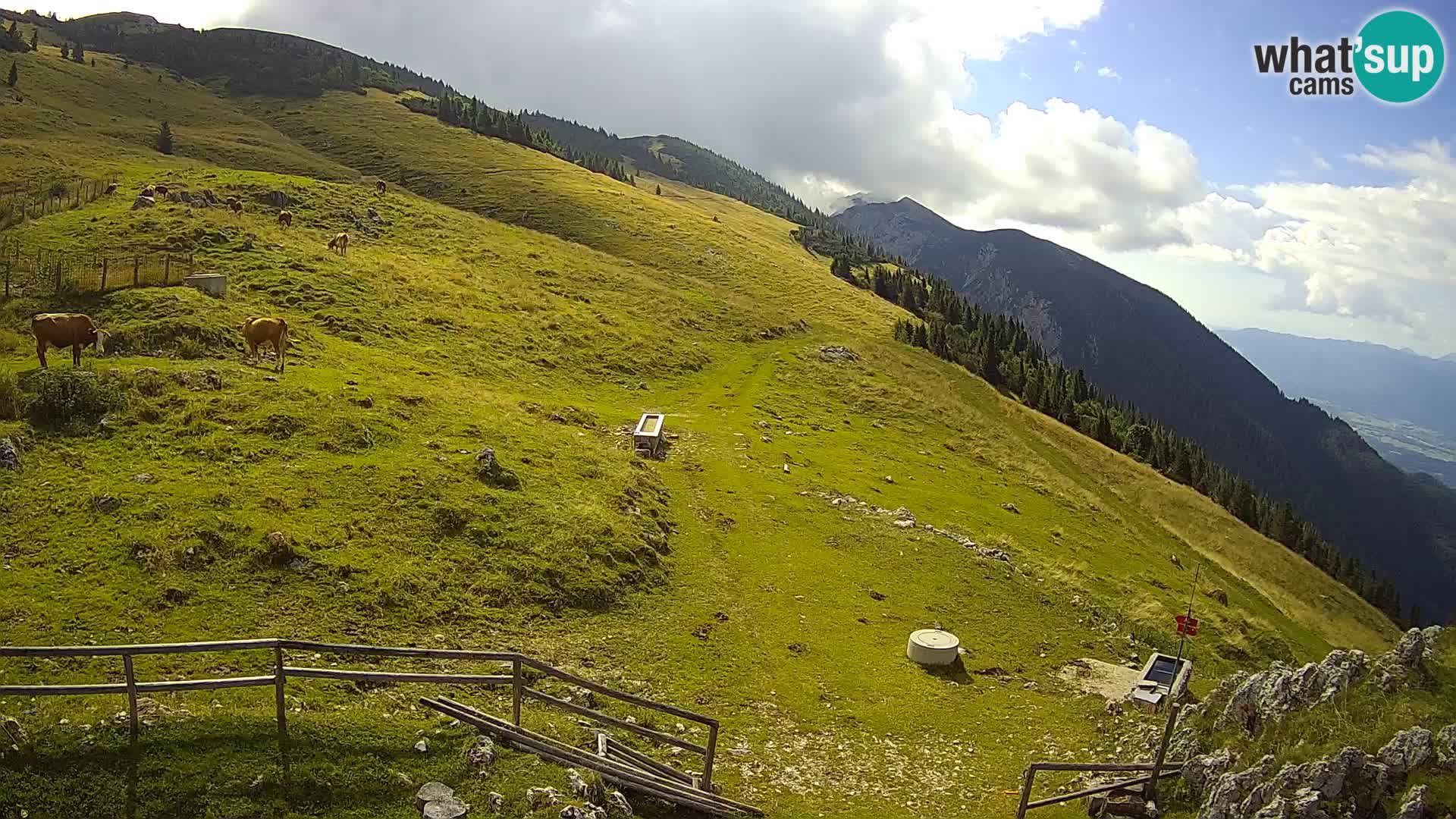 Struška nad Jesenicami camera en vivo planina Svečica (Belška planina) – Karavanke – Eslovenia