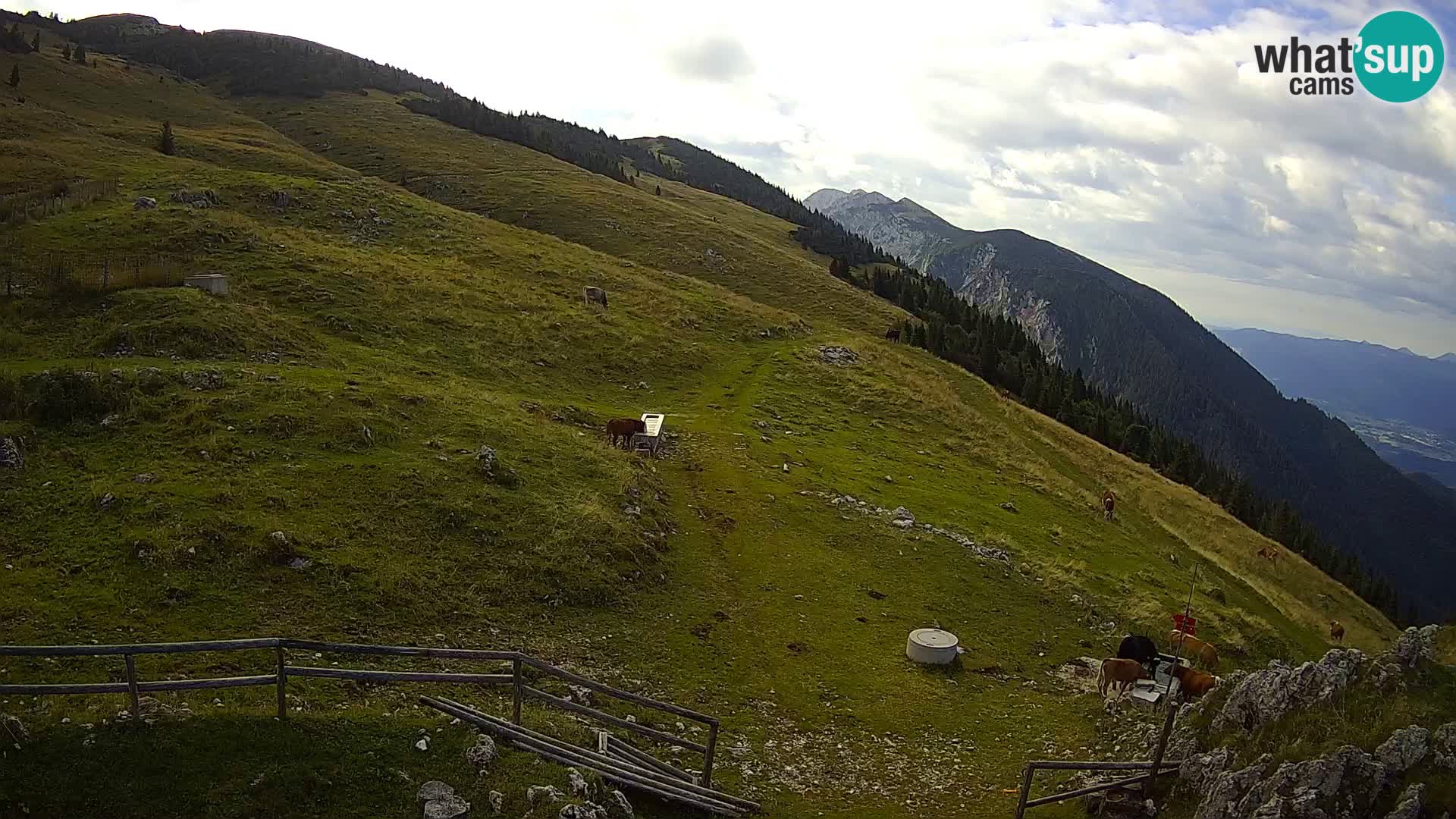 Struška nad Jesenicami spletna kamera planina Svečica (Belška planina) – Karavanke