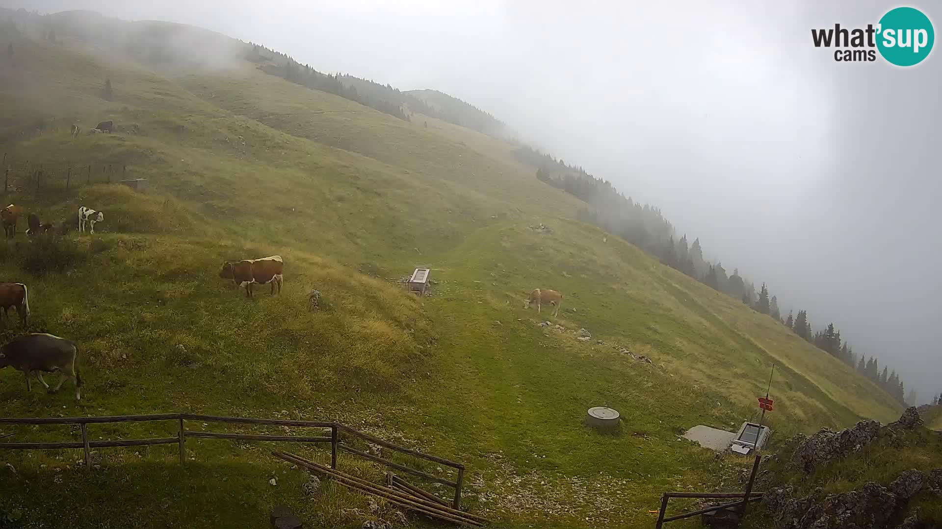 Struška nad Jesenicami Live webcam planina Svečica (Belška planina) – Karavanke – Slovénie
