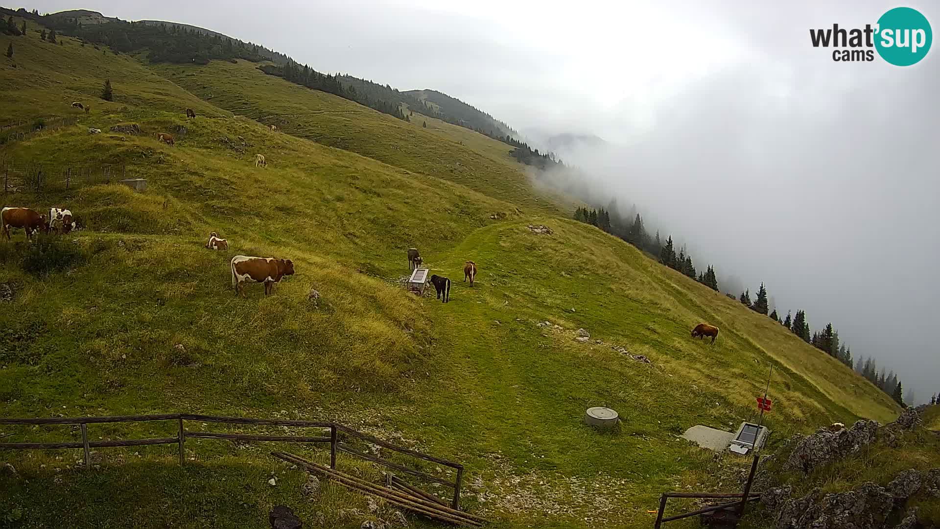 Struška nad Jesenicami Live webcam planina Svečica (Belška planina) – Karavanke – Slovenia