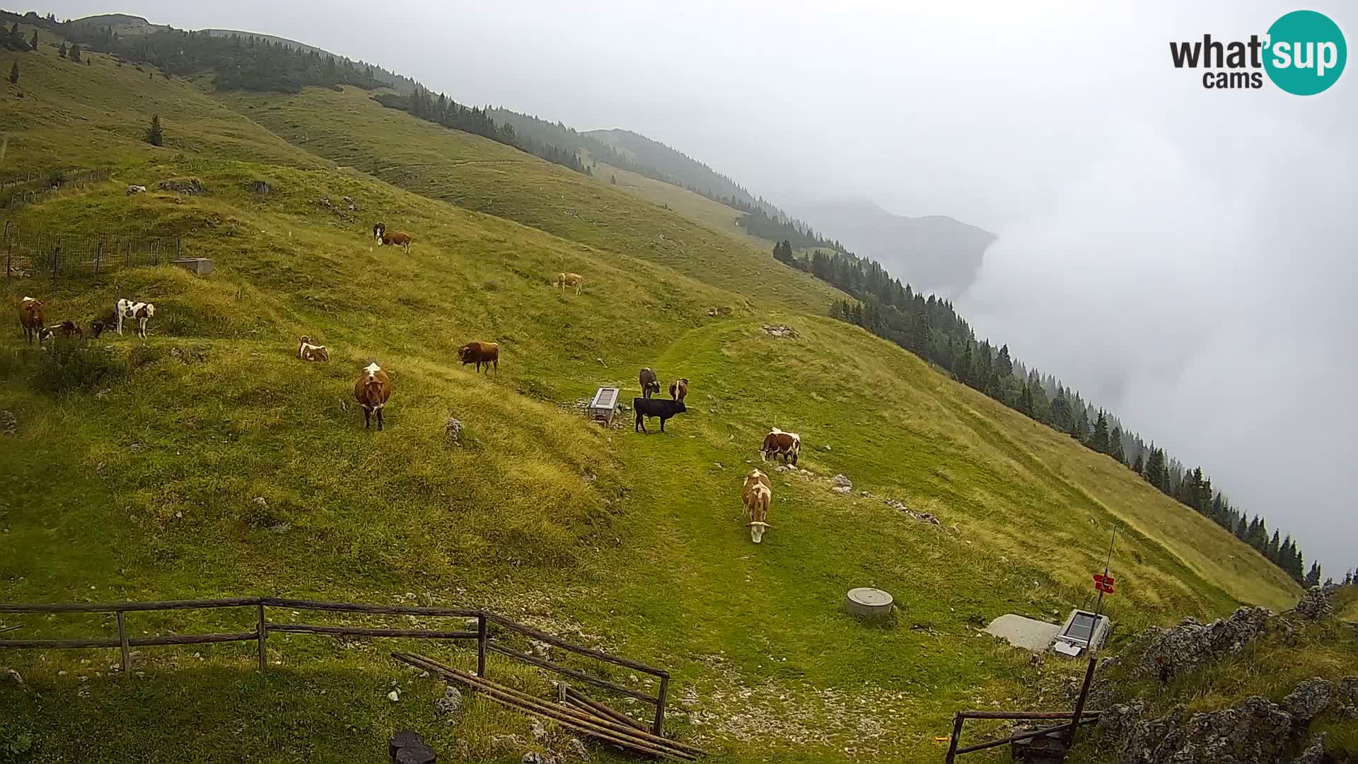 Struška nad Jesenicami Livecam planina Svečica (Belška planina) – Karavanke – Slowenien