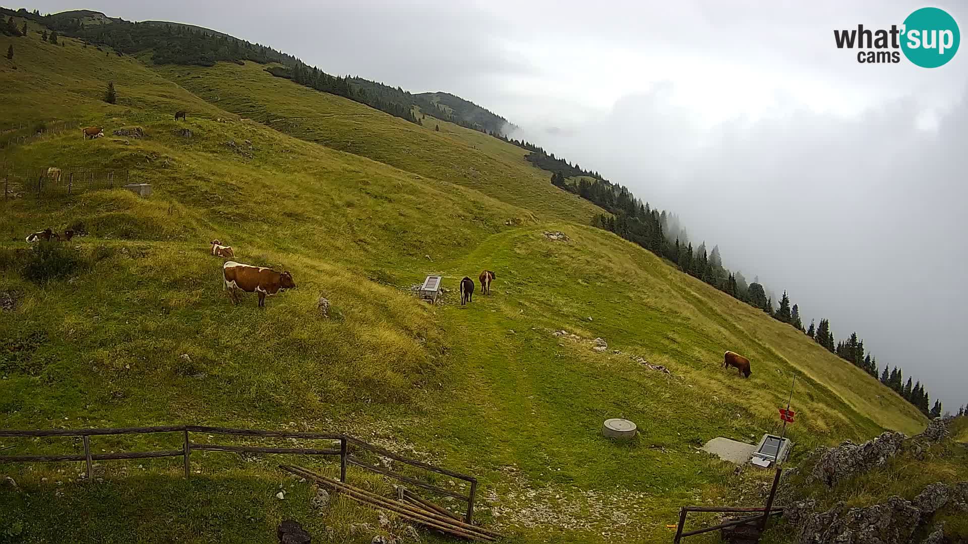 Struška nad Jesenicami spletna kamera planina Svečica (Belška planina) – Karavanke