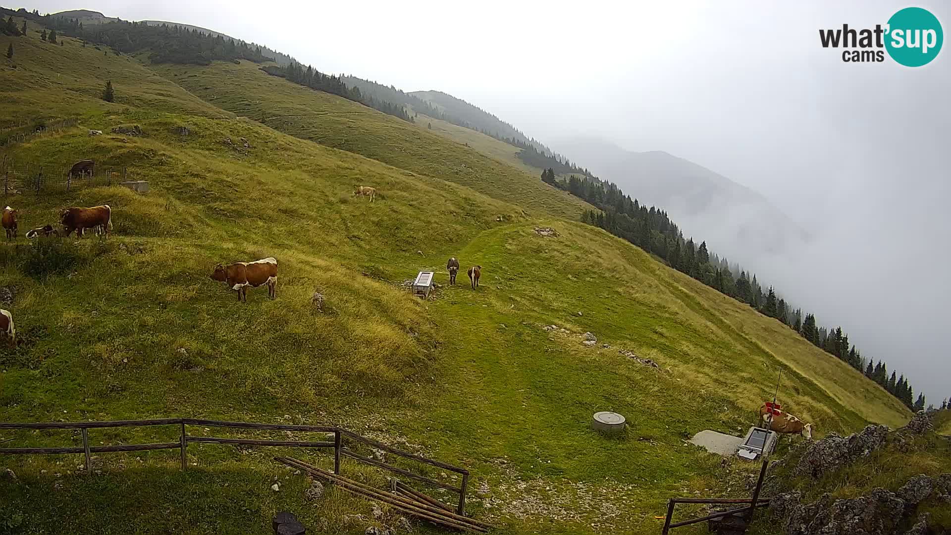 Struška nad Jesenicami Live webcam planina Svečica (Belška planina) – Karavanke – Slovenia