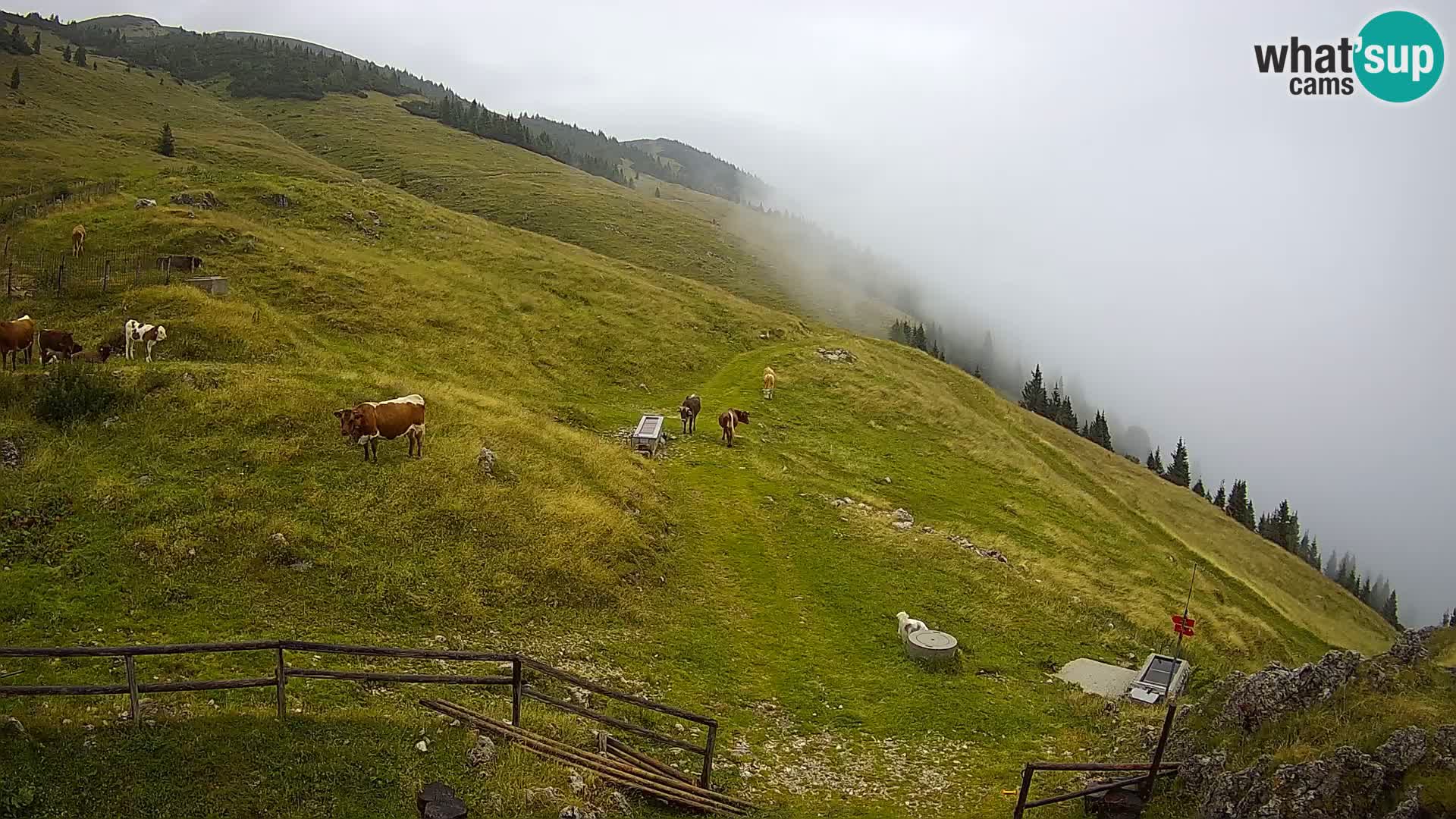 Struška nad Jesenicami Live webcam planina Svečica (Belška planina) – Karavanke – Slovenia