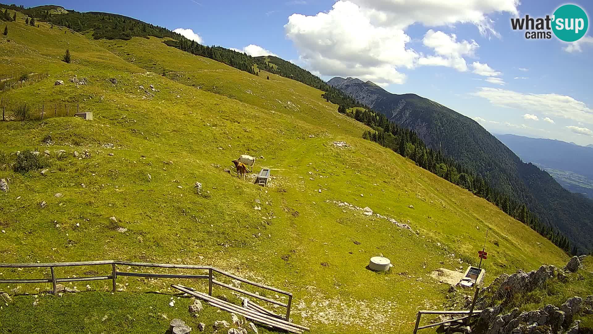 Struška nad Jesenicami camera en vivo planina Svečica (Belška planina) – Karavanke – Eslovenia