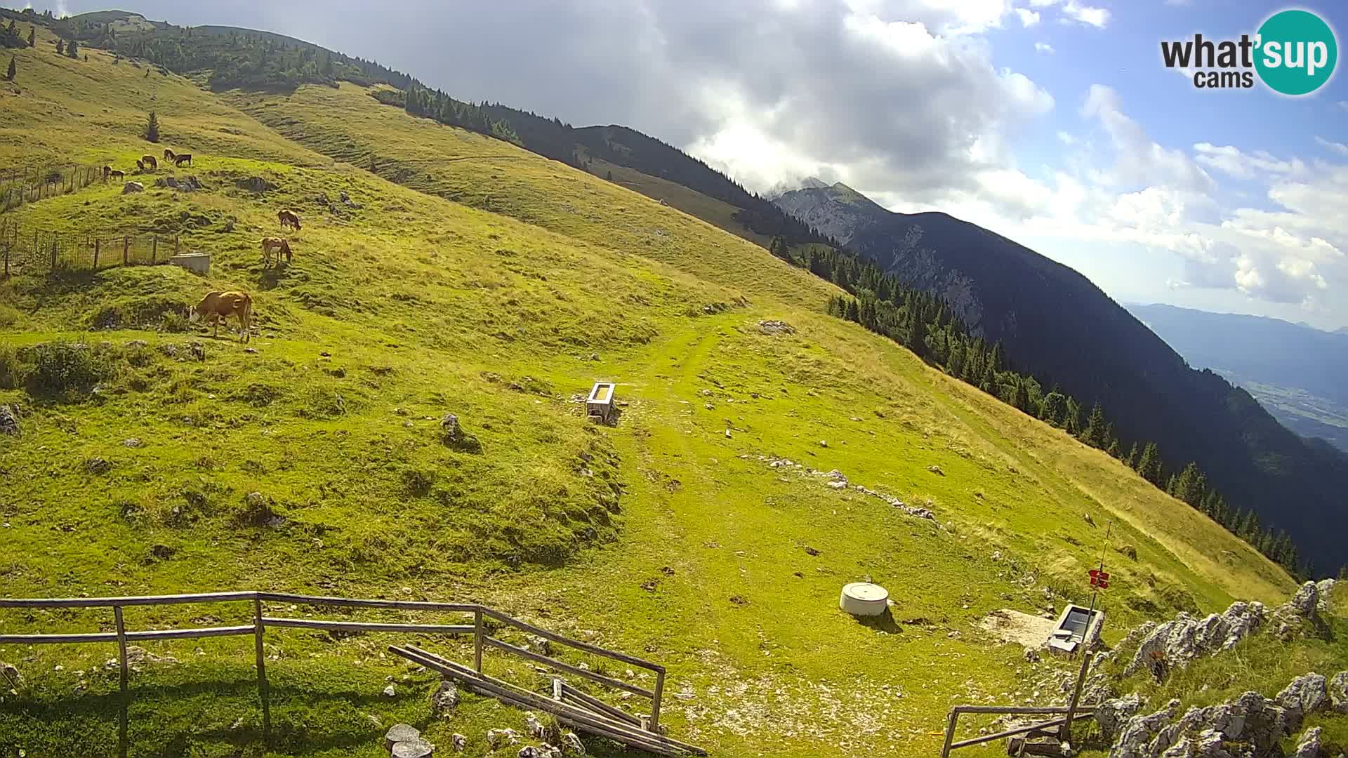 Struška nad Jesenicami Live webcam planina Svečica (Belška planina) – Karavanke – Slovenia
