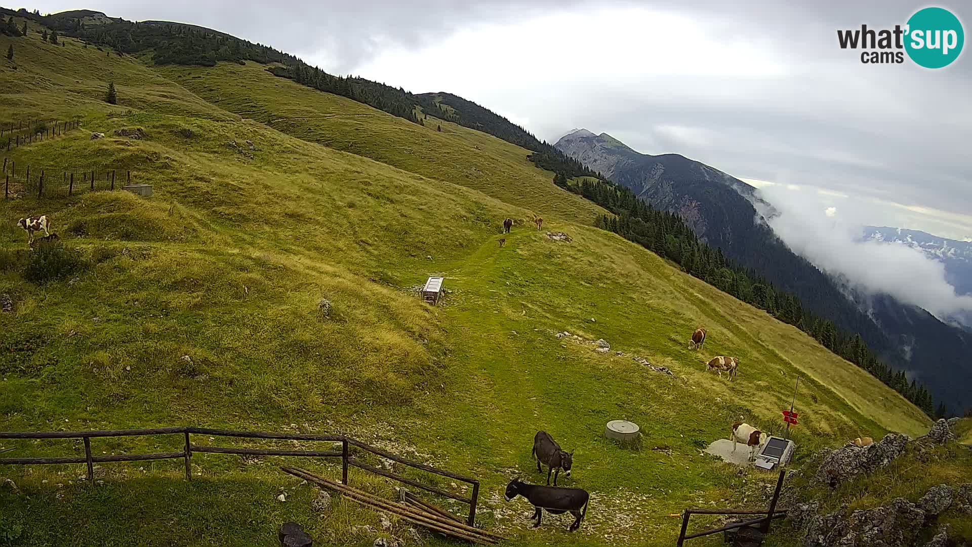 Struška nad Jesenicami spletna kamera planina Svečica (Belška planina) – Karavanke