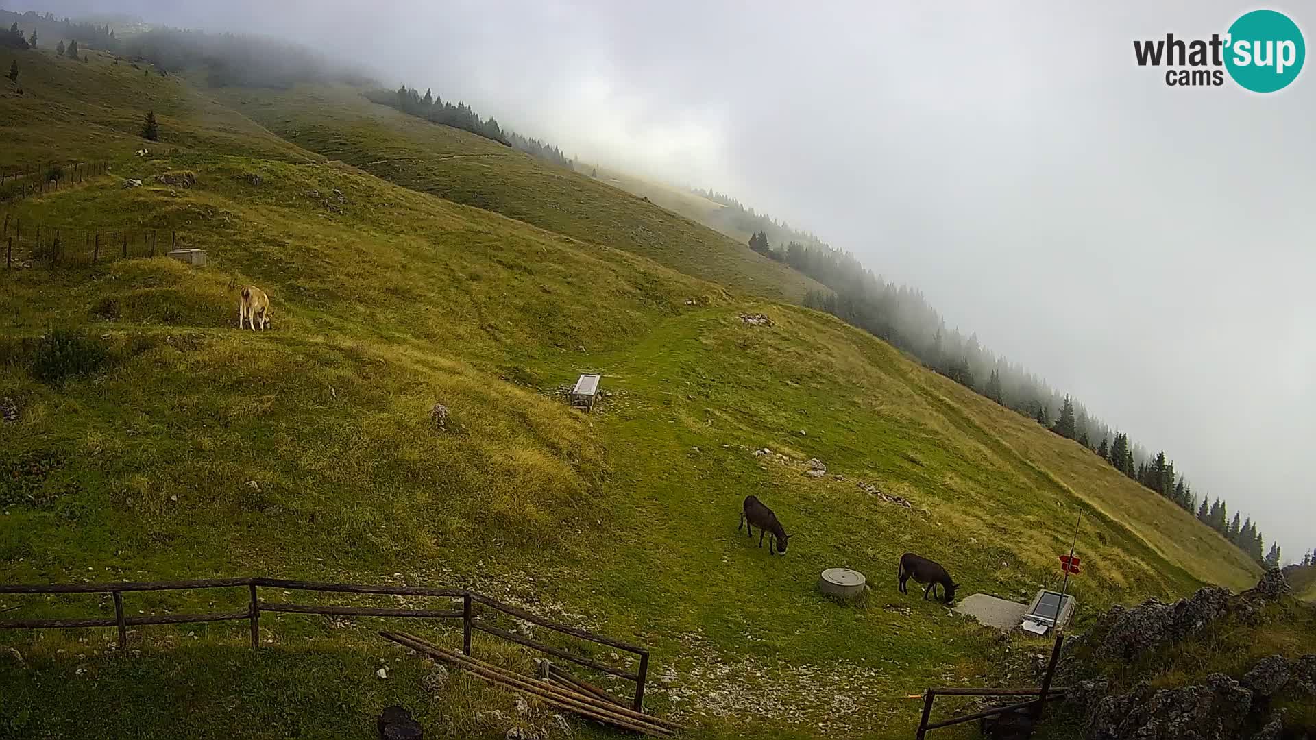 Struška nad Jesenicami Live webcam planina Svečica (Belška planina) – Karavanke – Slovenia