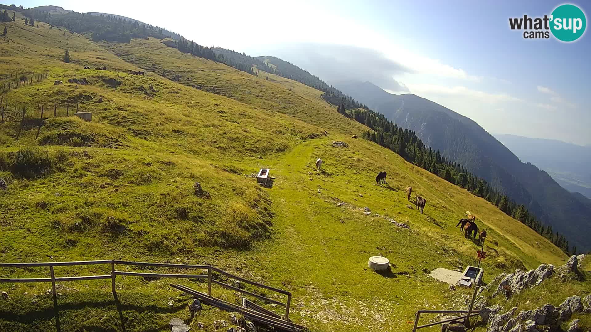 Struška nad Jesenicami spletna kamera planina Svečica (Belška planina) – Karavanke