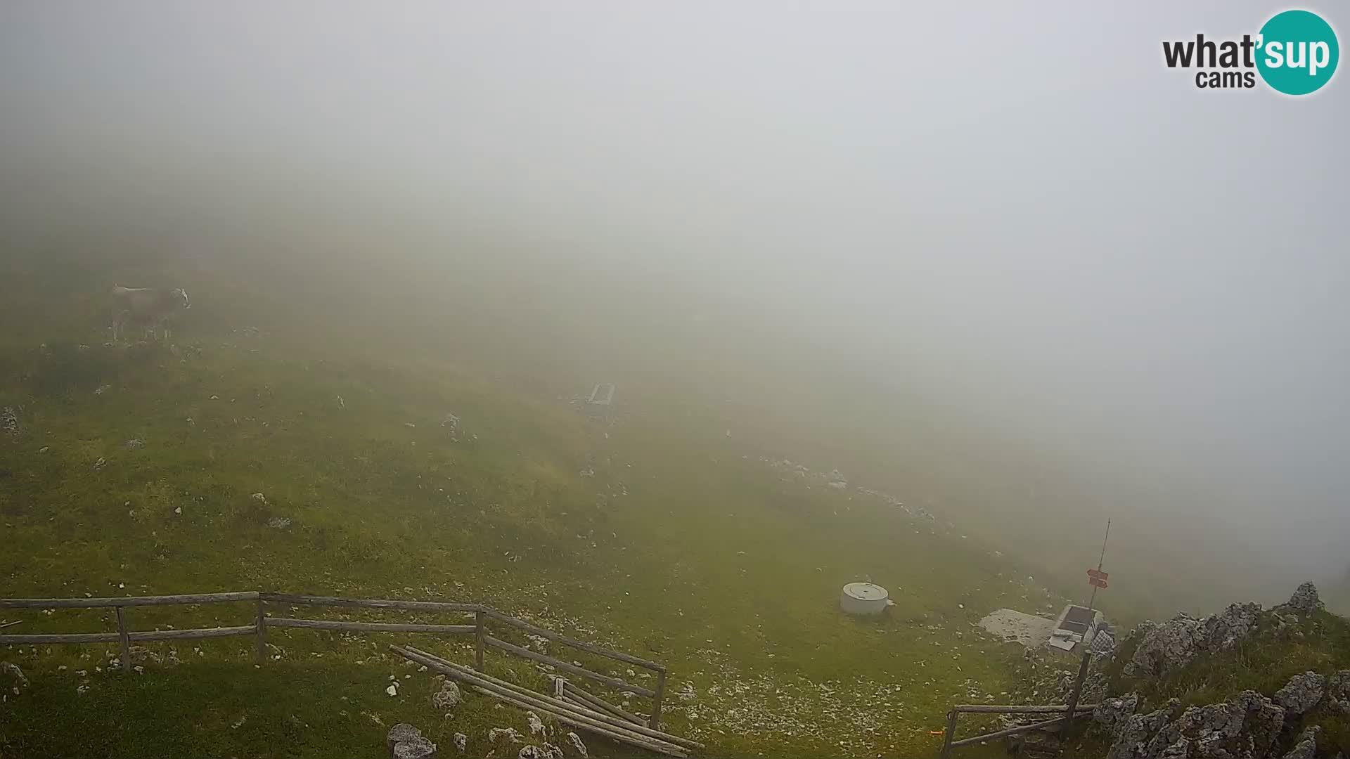 Struška nad Jesenicami camera en vivo planina Svečica (Belška planina) – Karavanke – Eslovenia