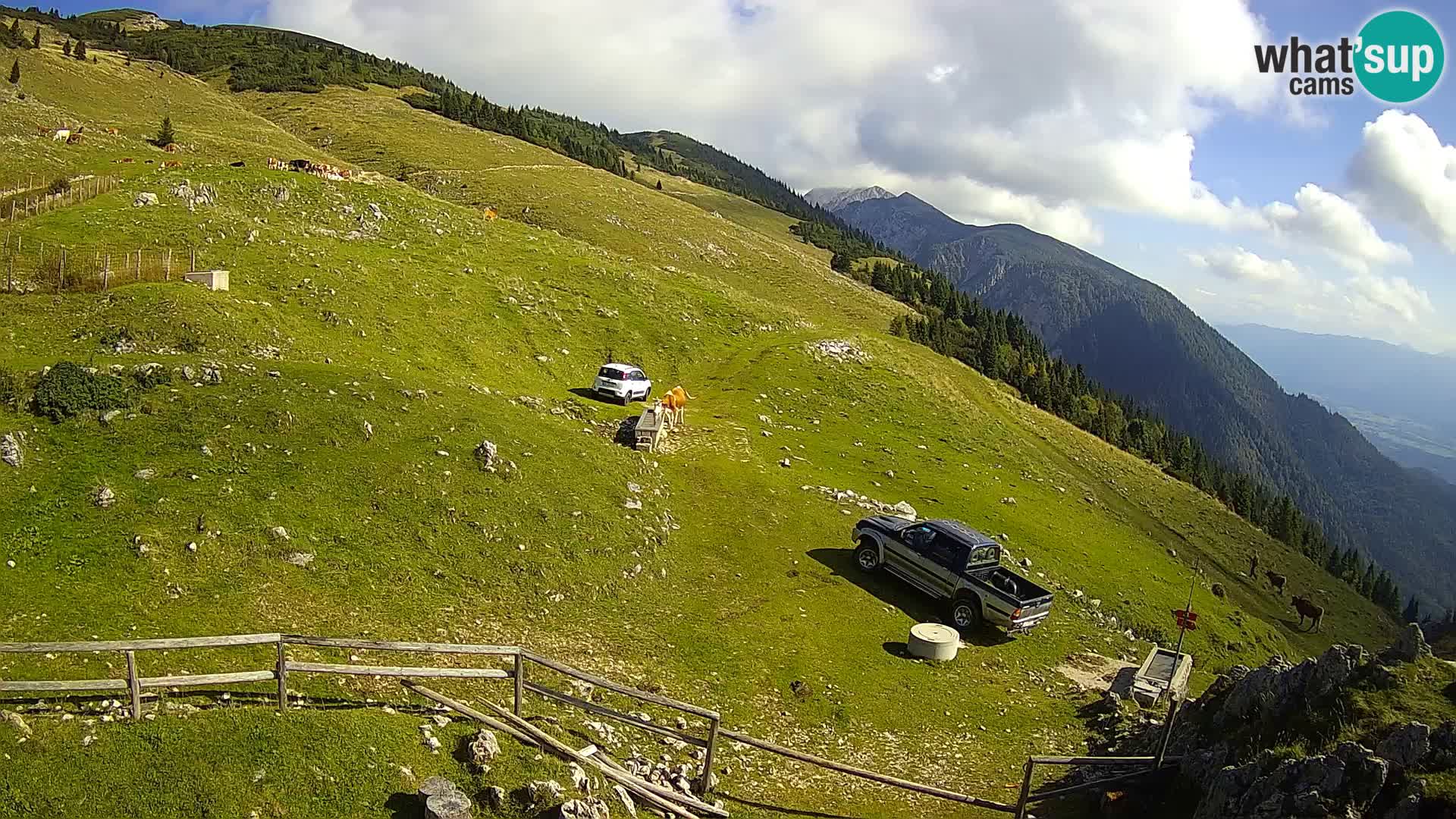 Struška nad Jesenicami camera en vivo planina Svečica (Belška planina) – Karavanke – Eslovenia