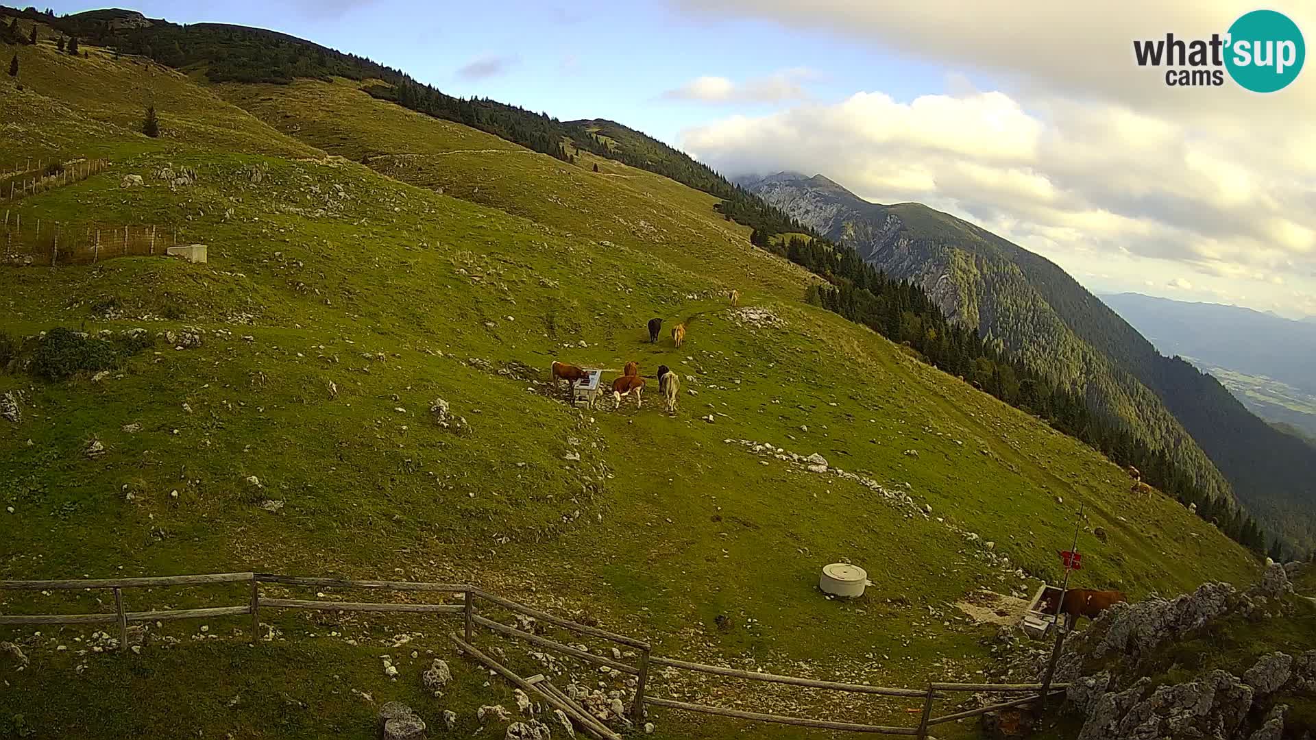 Struška nad Jesenicami spletna kamera planina Svečica (Belška planina) – Karavanke