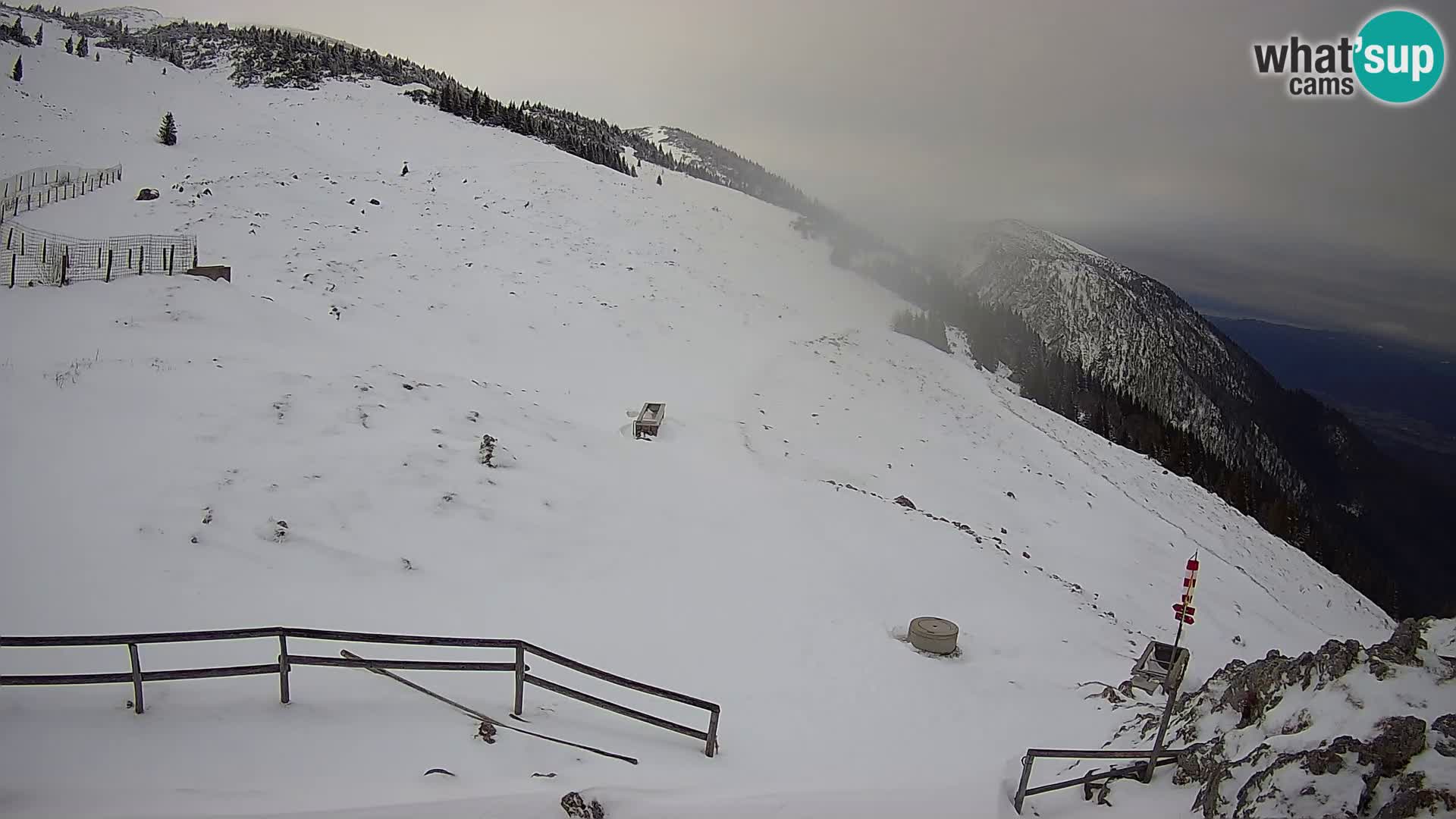 Struška nad Jesenicami Livecam planina Svečica (Belška planina) – Karavanke – Slowenien