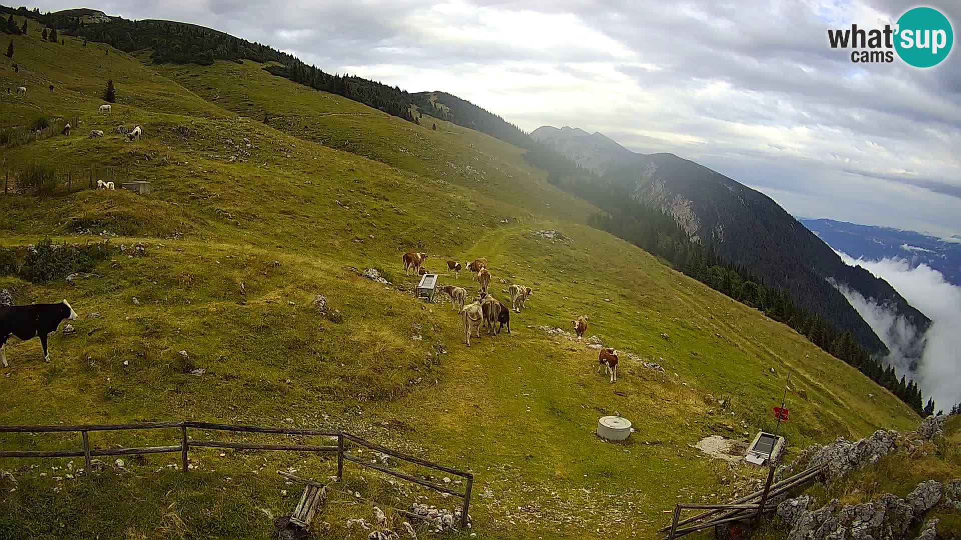 Struška nad Jesenicami Live webcam planina Svečica (Belška planina) – Karavanke – Slovenia