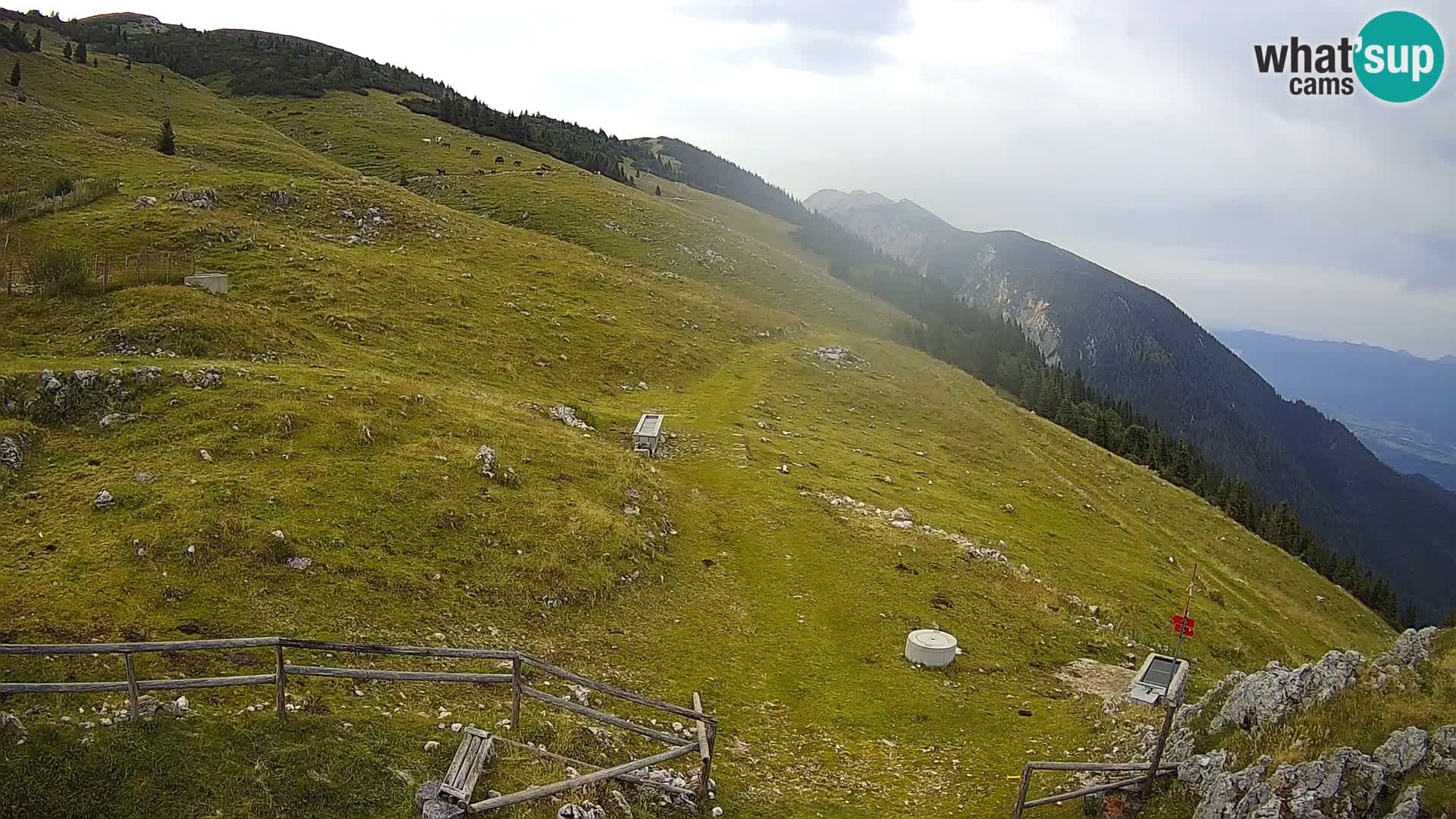 Struška nad Jesenicami camera en vivo planina Svečica (Belška planina) – Karavanke – Eslovenia