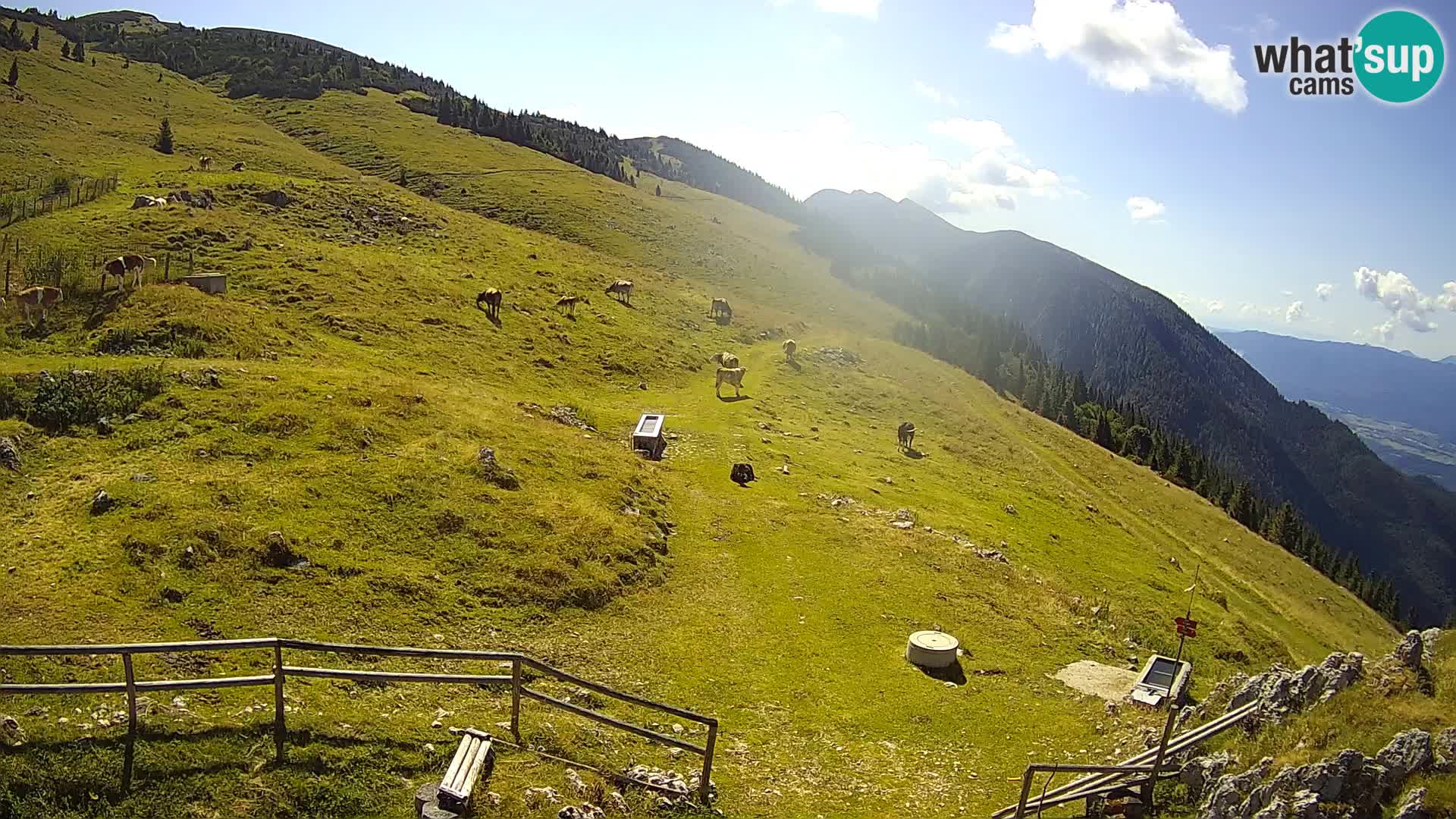 Struška nad Jesenicami web kamera planina Svečica (Belška planina) – Karavanke – Slovenija