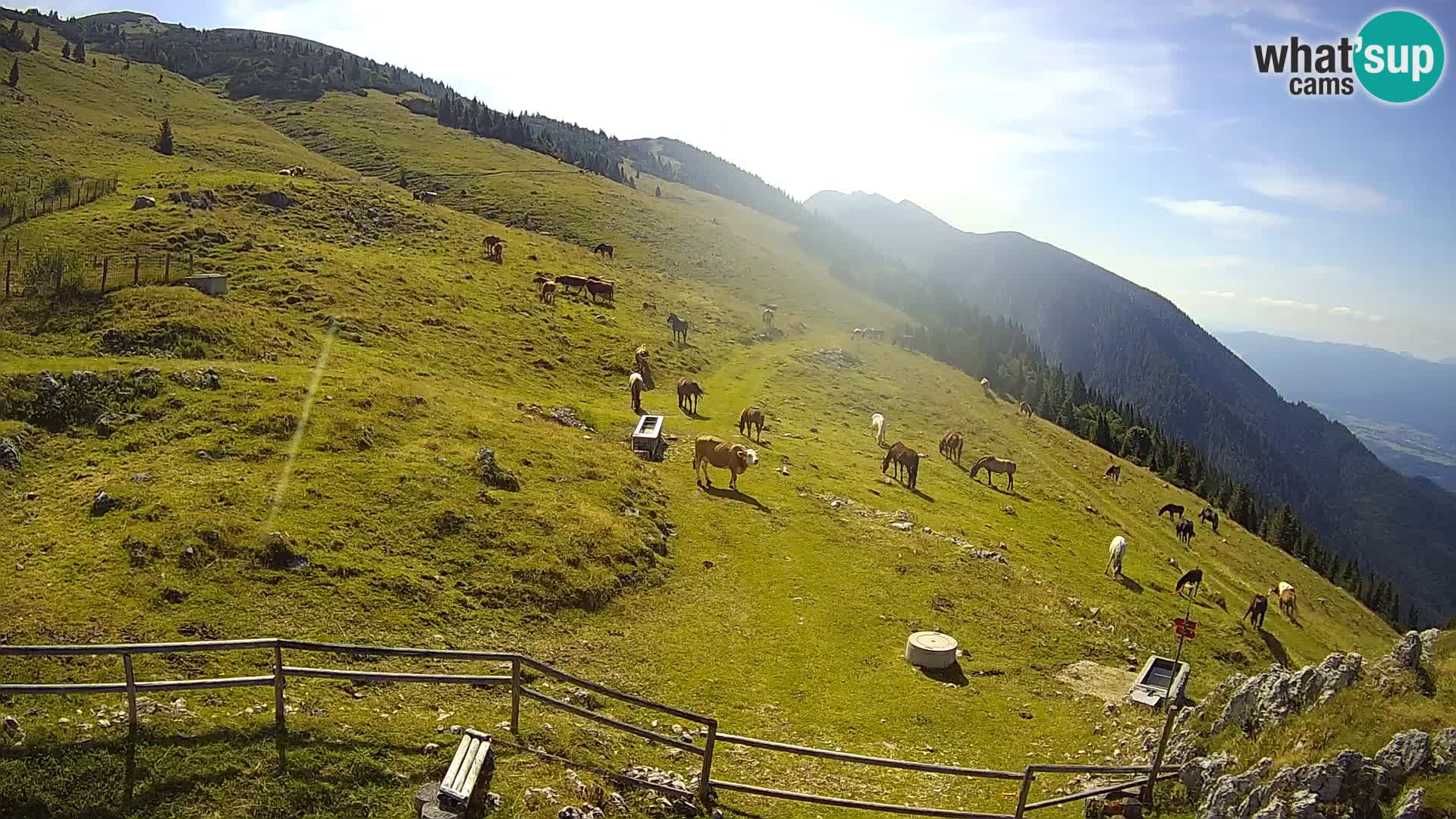 Struška nad Jesenicami Live webcam planina Svečica (Belška planina) – Karavanke – Slovenia
