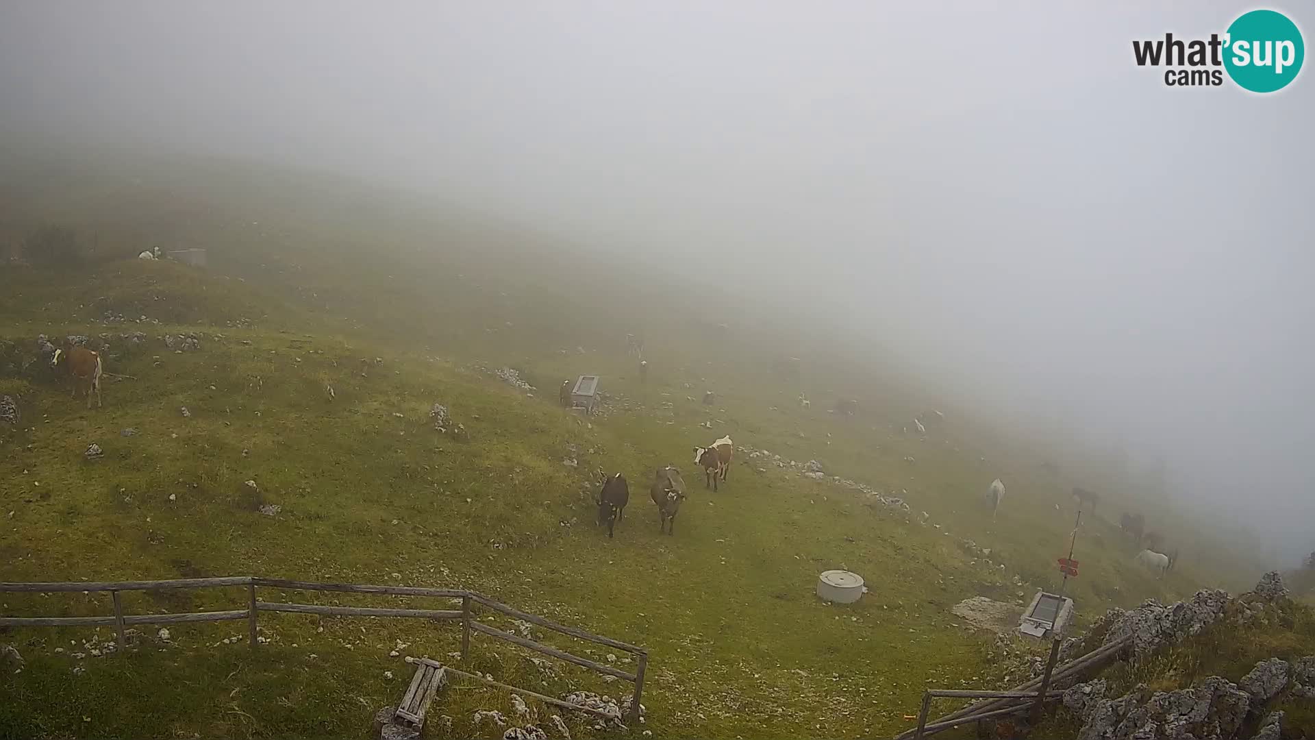 Struška nad Jesenicami Live webcam planina Svečica (Belška planina) – Karavanke – Slovenia