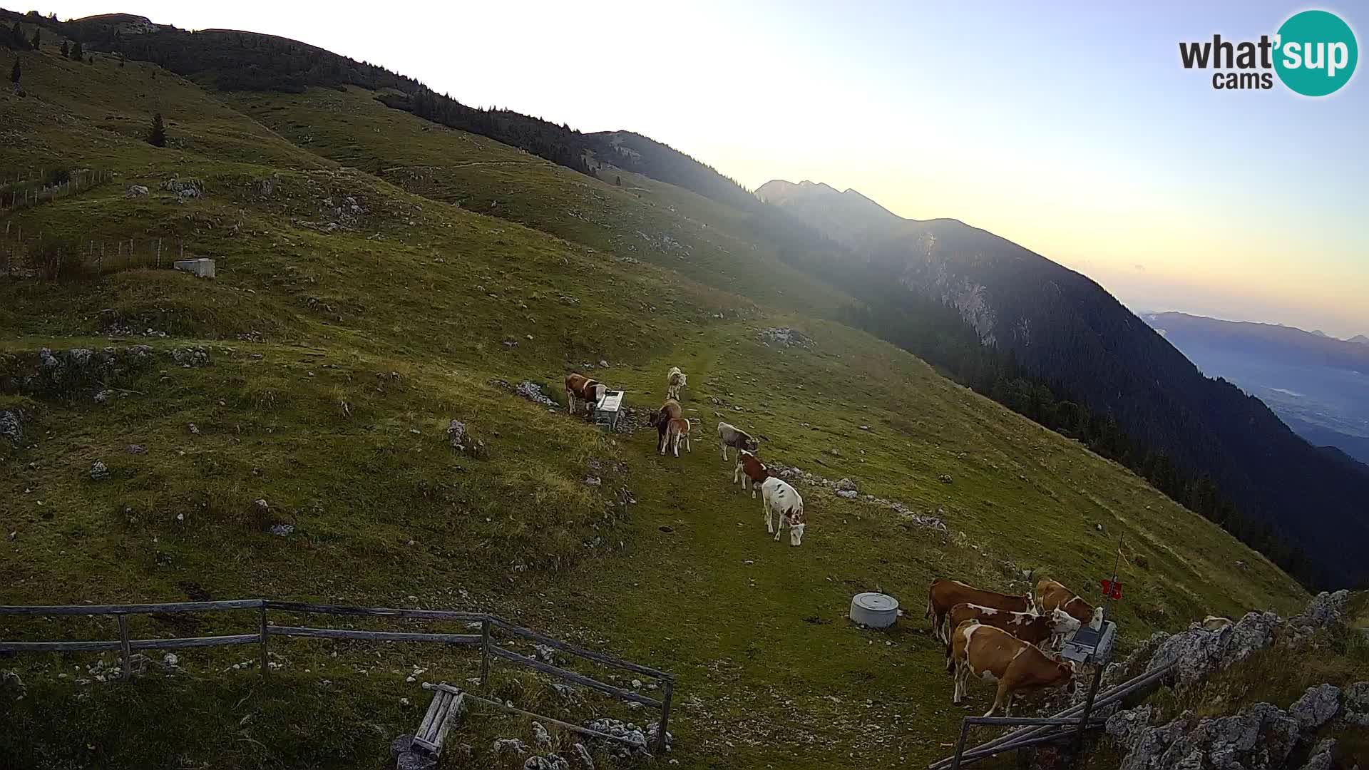 Struška nad Jesenicami spletna kamera planina Svečica (Belška planina) – Karavanke