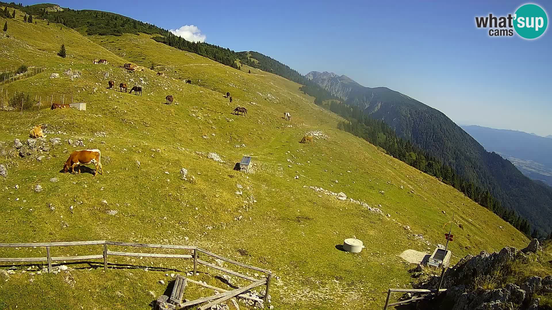 Struška nad Jesenicami Live webcam planina Svečica (Belška planina) – Karavanke – Slovénie