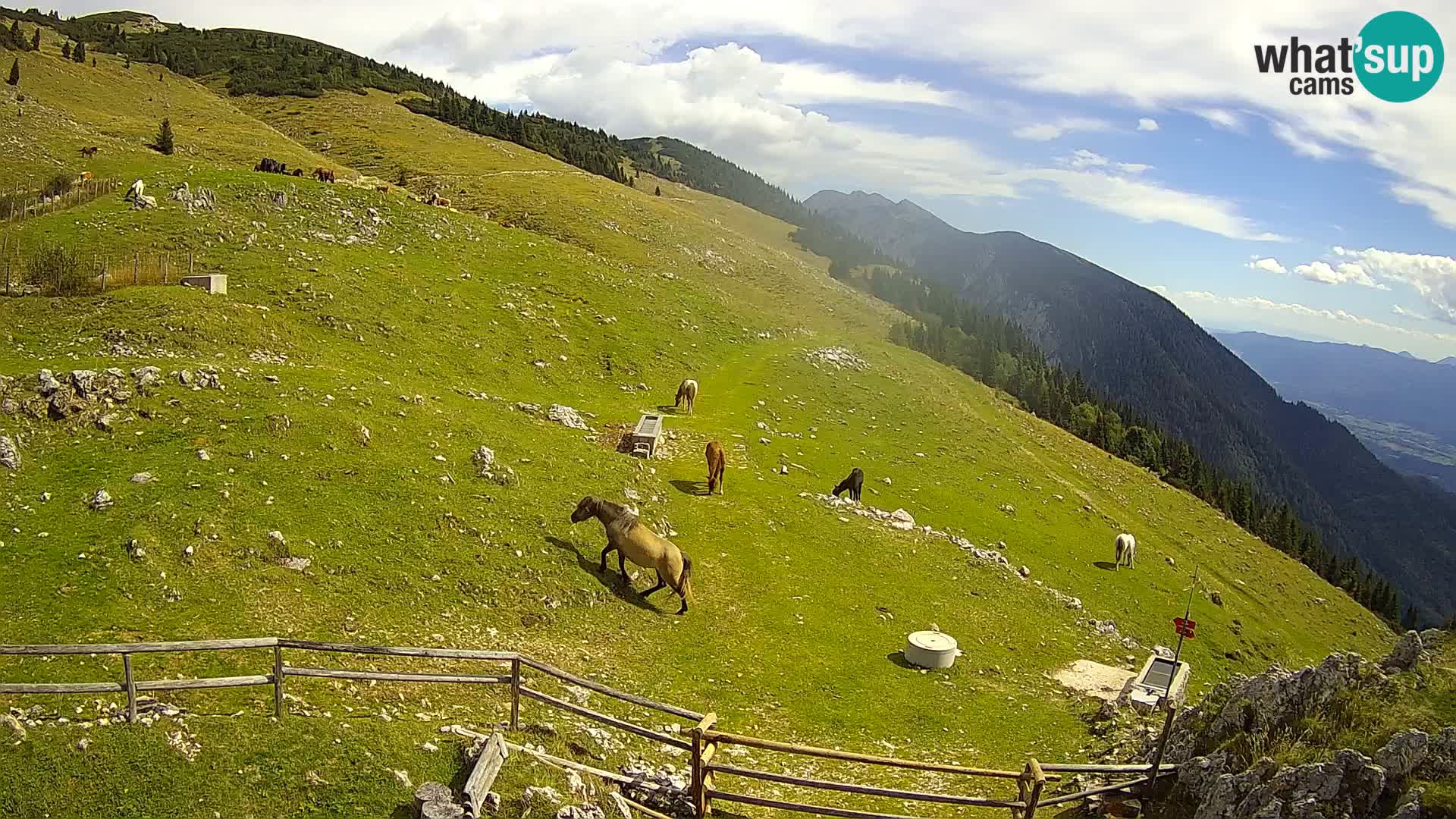 Struška nad Jesenicami Livecam planina Svečica (Belška planina) – Karavanke – Slowenien
