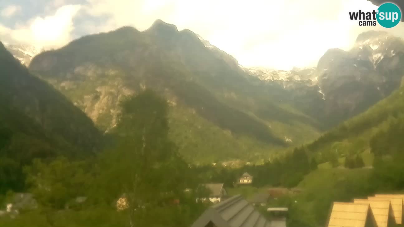 Webcam Trenta – View of Šplevt, Pihavec and Prisojnik