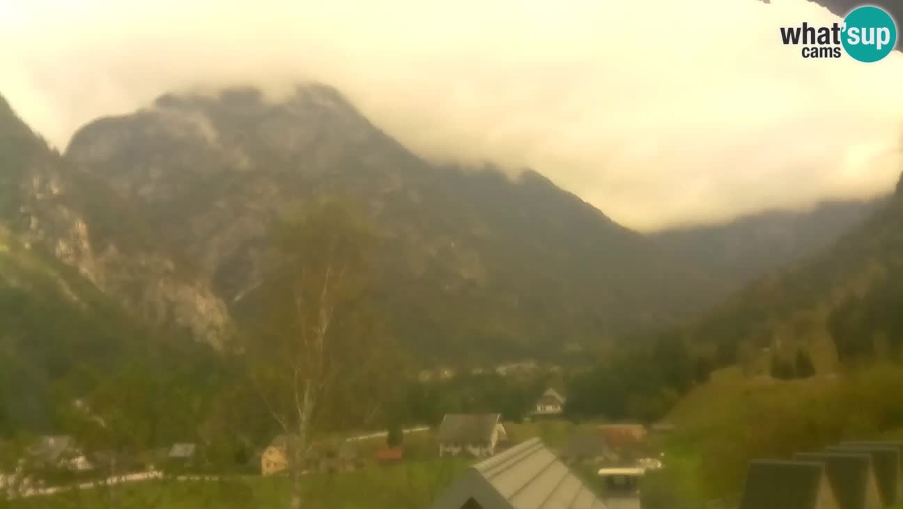 Webcam Trenta – View of Šplevt, Pihavec and Prisojnik