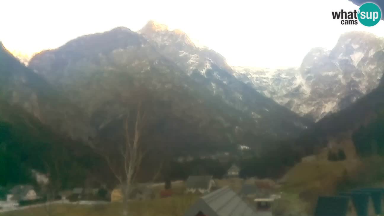 Webcam Trenta – View of Šplevt, Pihavec and Prisojnik