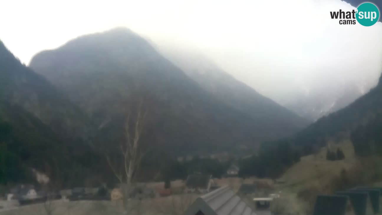 Webcam Trenta – View of Šplevt, Pihavec and Prisojnik