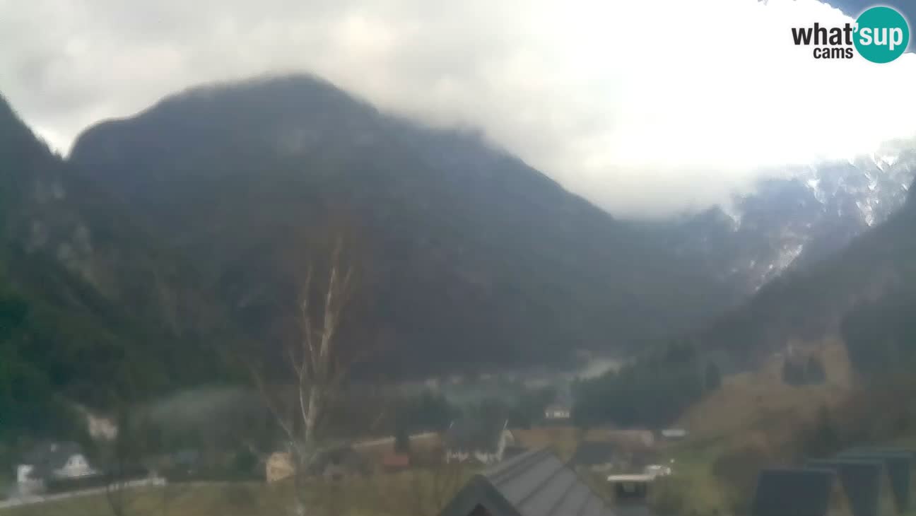 Webcam Trenta – View of Šplevt, Pihavec and Prisojnik