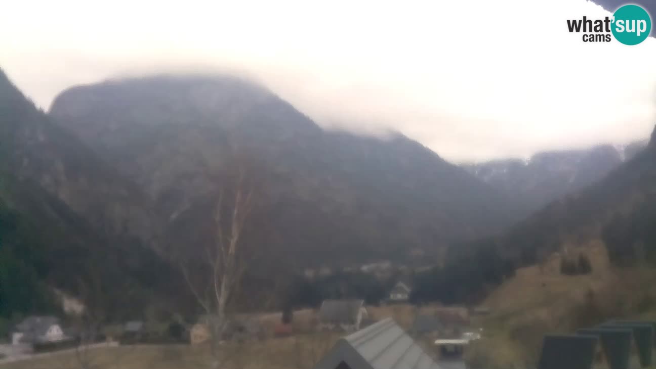 Webcam Trenta – View of Šplevt, Pihavec and Prisojnik