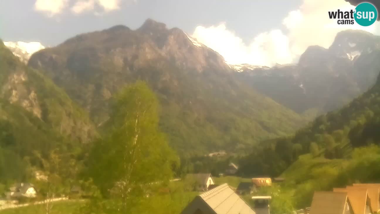 Webcam Trenta – View of Šplevt, Pihavec and Prisojnik