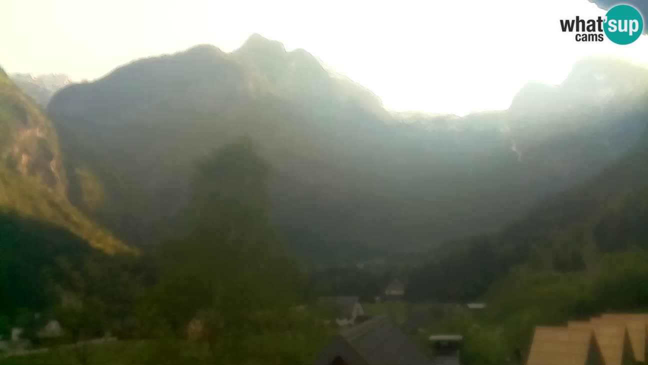 Webcam Trenta – View of Šplevt, Pihavec and Prisojnik
