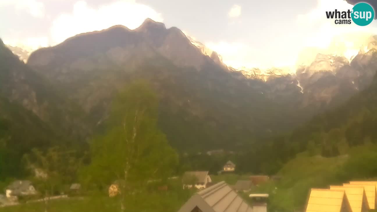 Webcam Trenta – View of Šplevt, Pihavec and Prisojnik