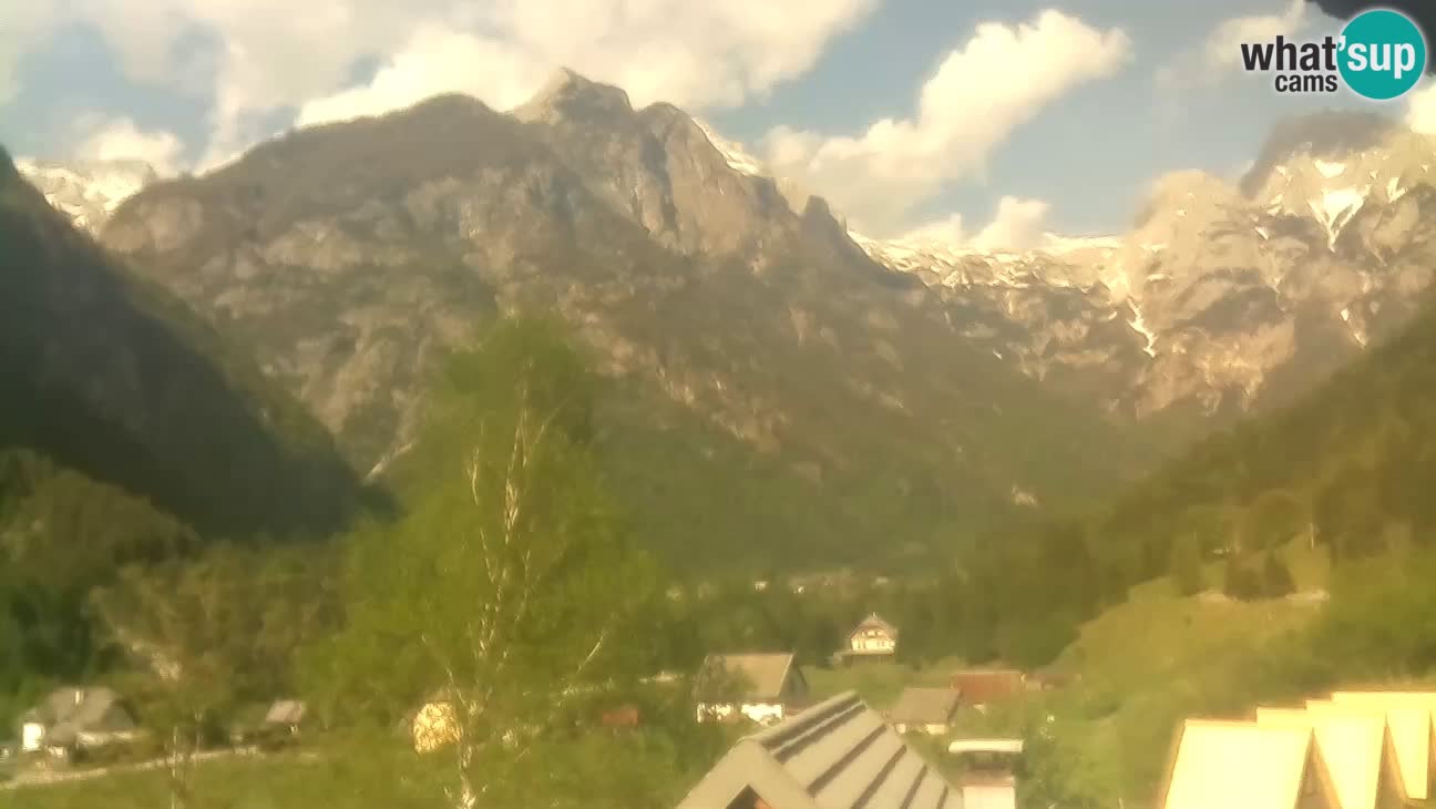 Webcam Trenta – View of Šplevt, Pihavec and Prisojnik