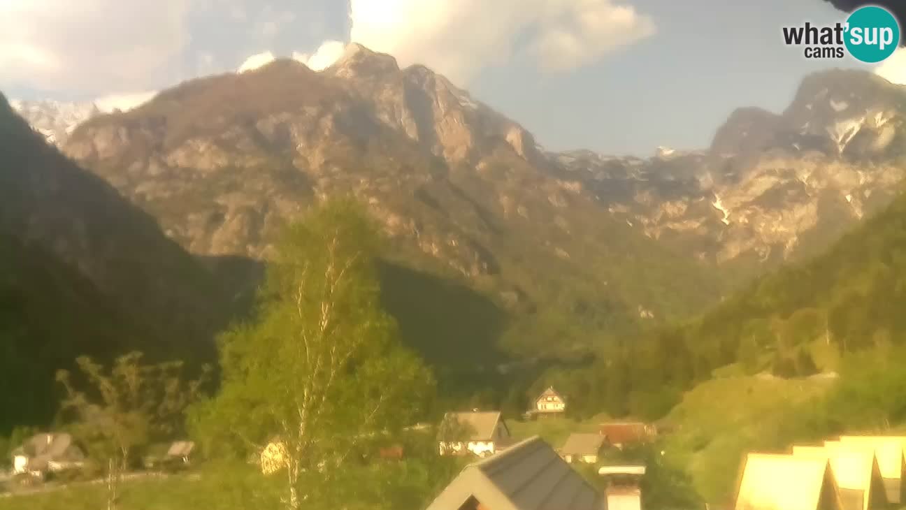 Webcam Trenta – View of Šplevt, Pihavec and Prisojnik