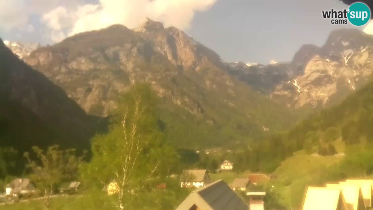 Webcam Trenta – Vista su Šplevt, Pihavec e Prisojnika