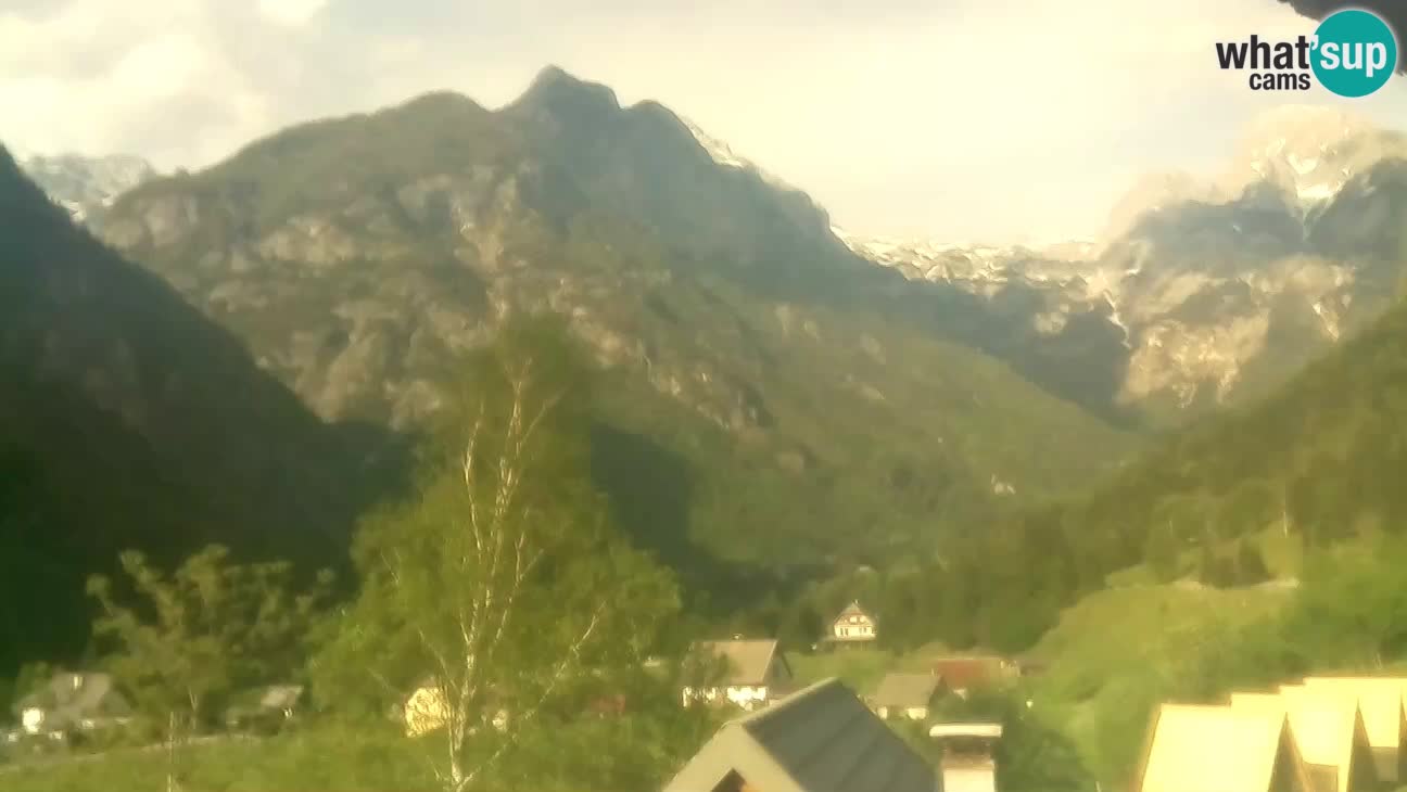 Webcam Trenta – Vista su Šplevt, Pihavec e Prisojnika
