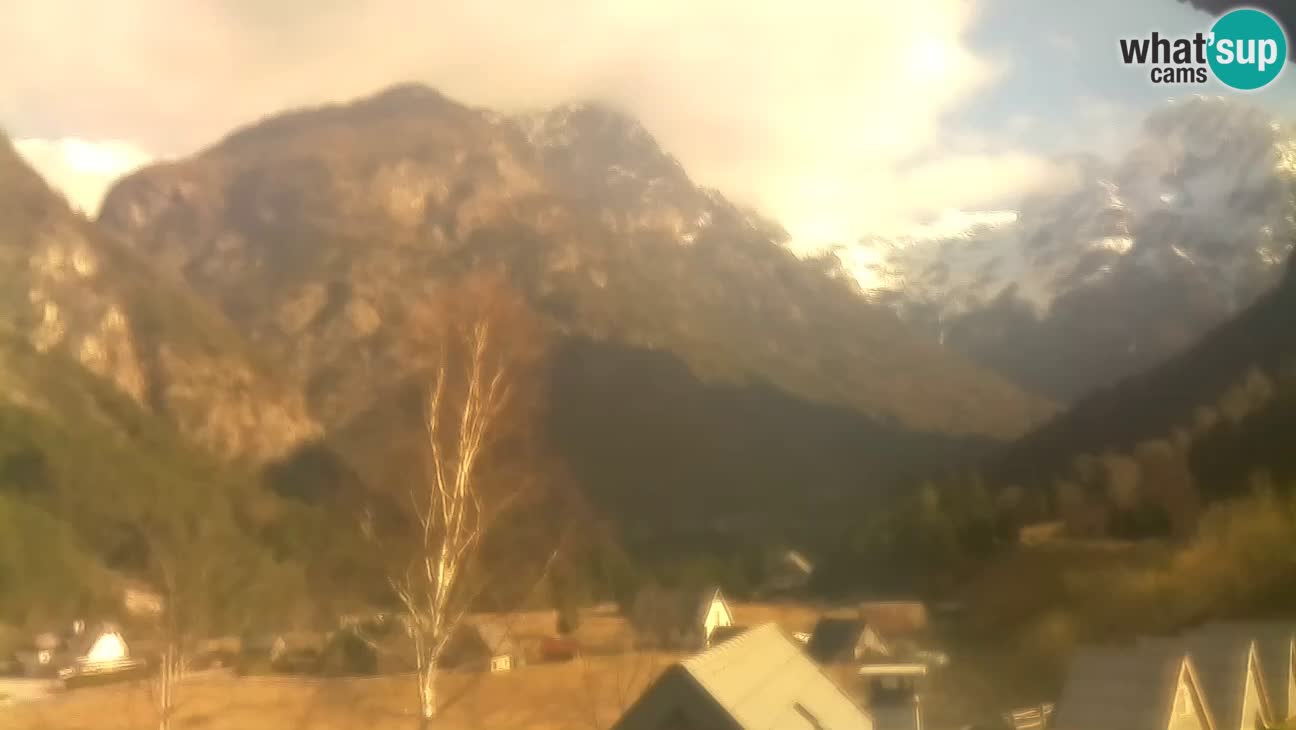 Webcam Trenta – View of Šplevt, Pihavec and Prisojnik
