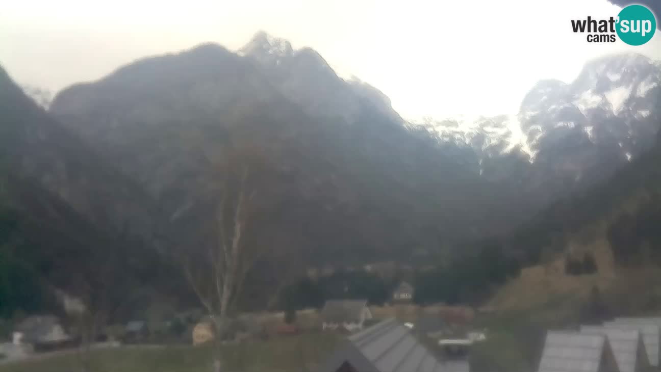 Webcam Trenta – View of Šplevt, Pihavec and Prisojnik