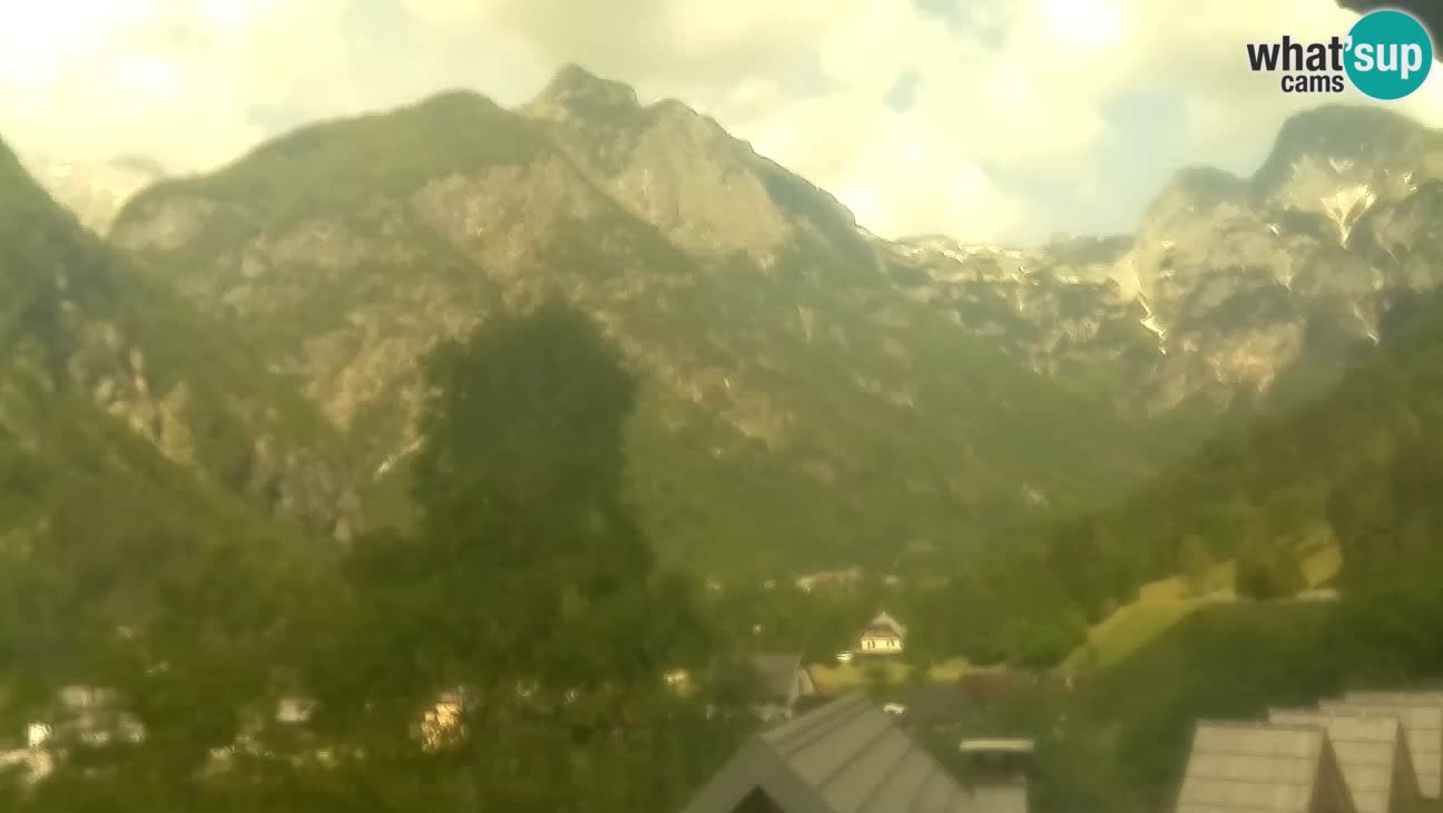 Webcam Trenta – View of Šplevt, Pihavec and Prisojnik